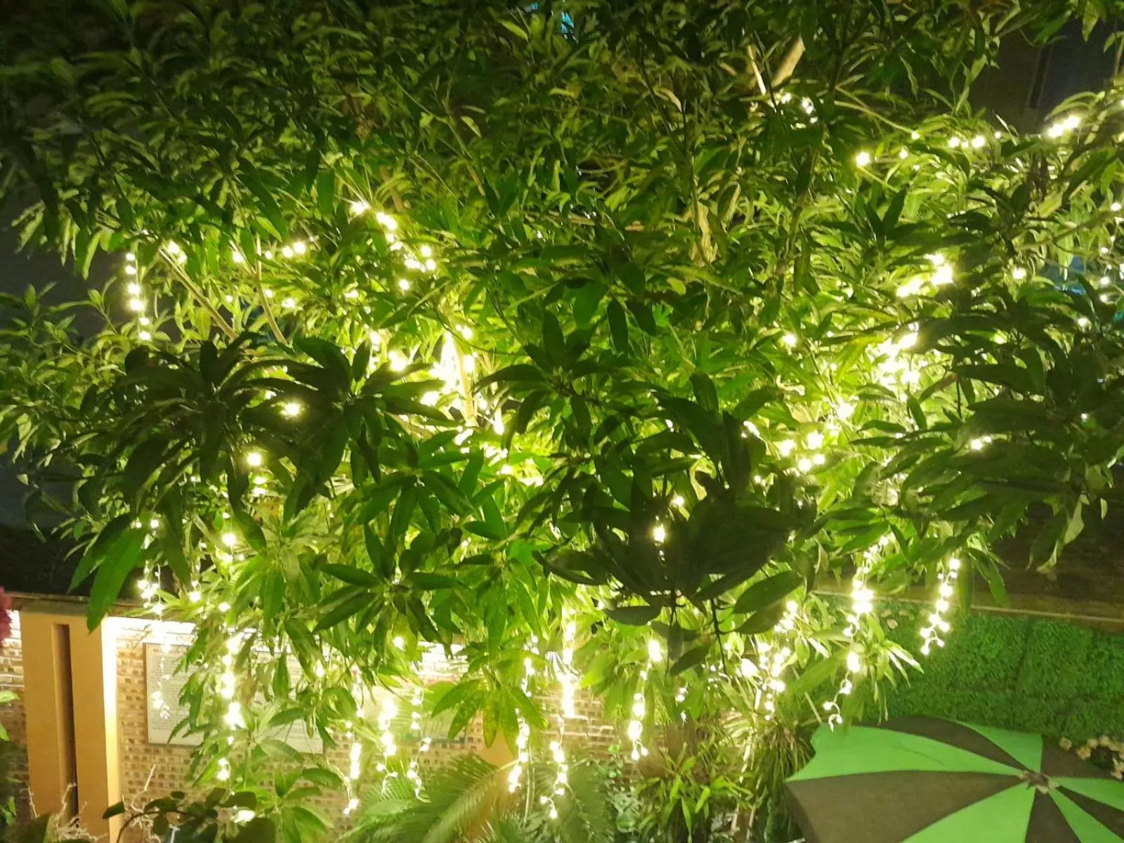 Night in Lys Homestay