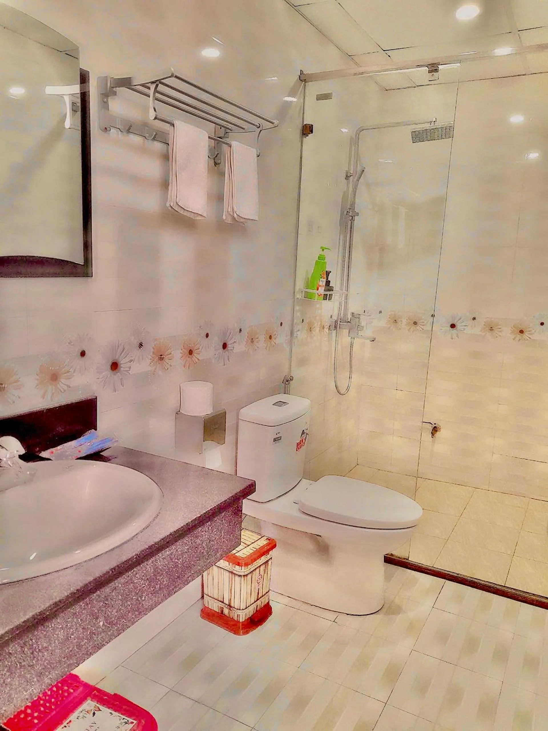 Shower in Lys Homestay