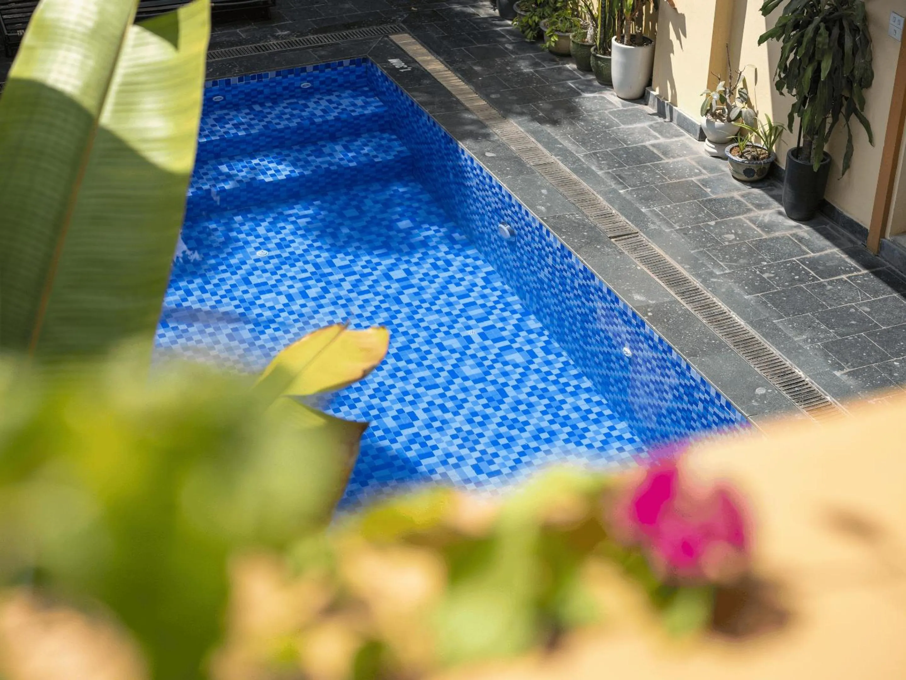 Swimming pool in Lys Homestay