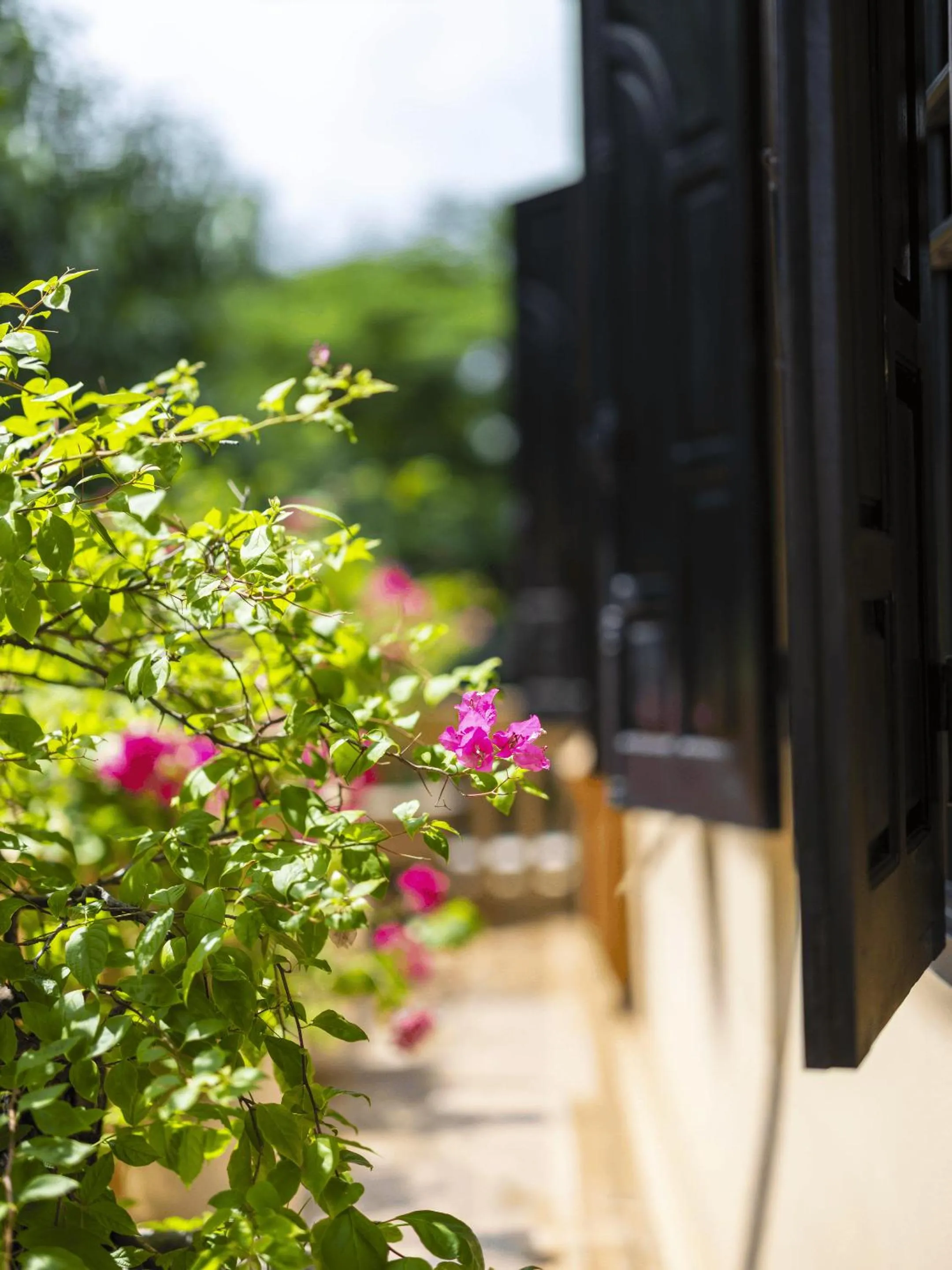 Balcony/Terrace in Lys Homestay
