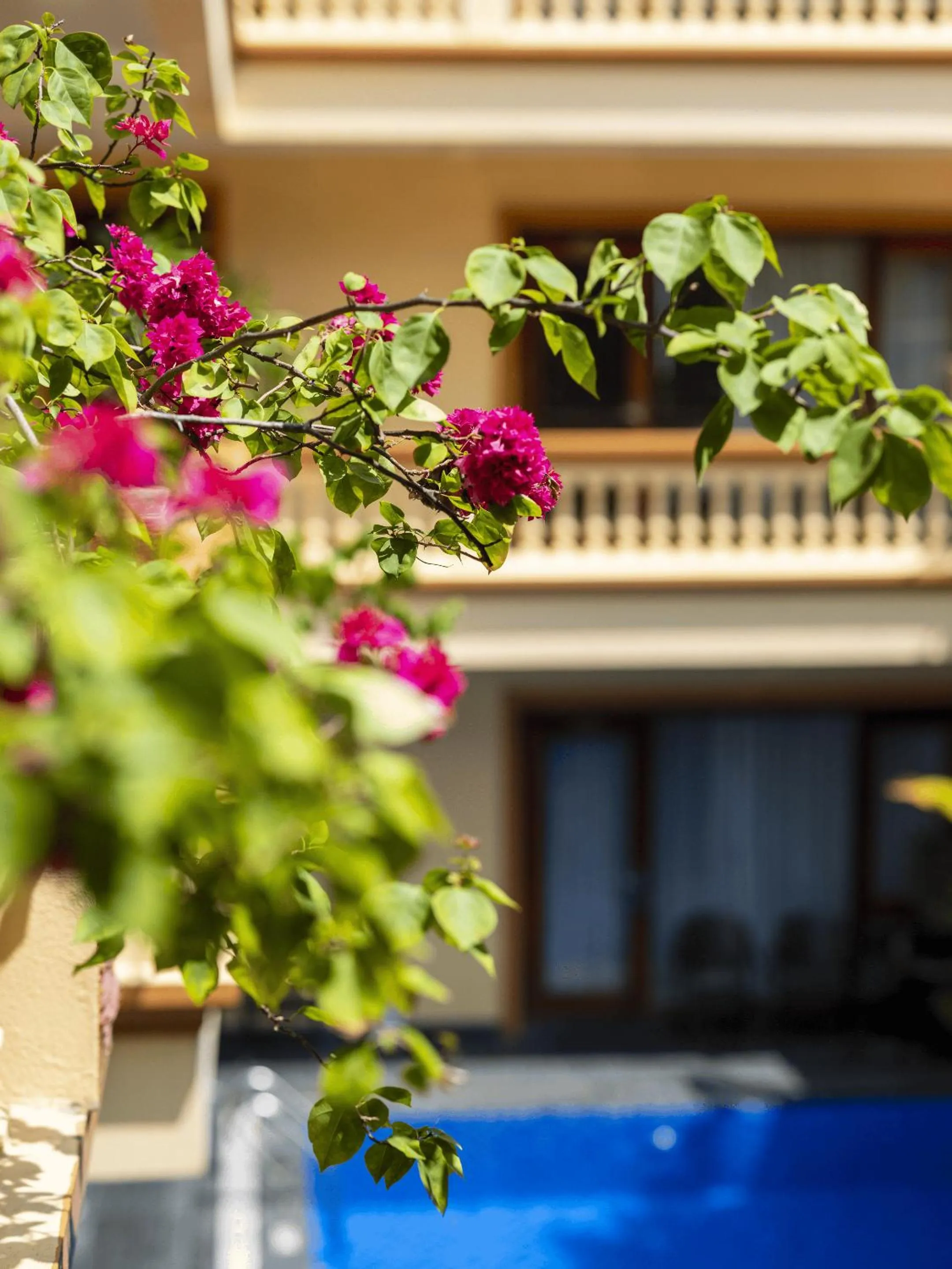 Balcony/Terrace in Lys Homestay