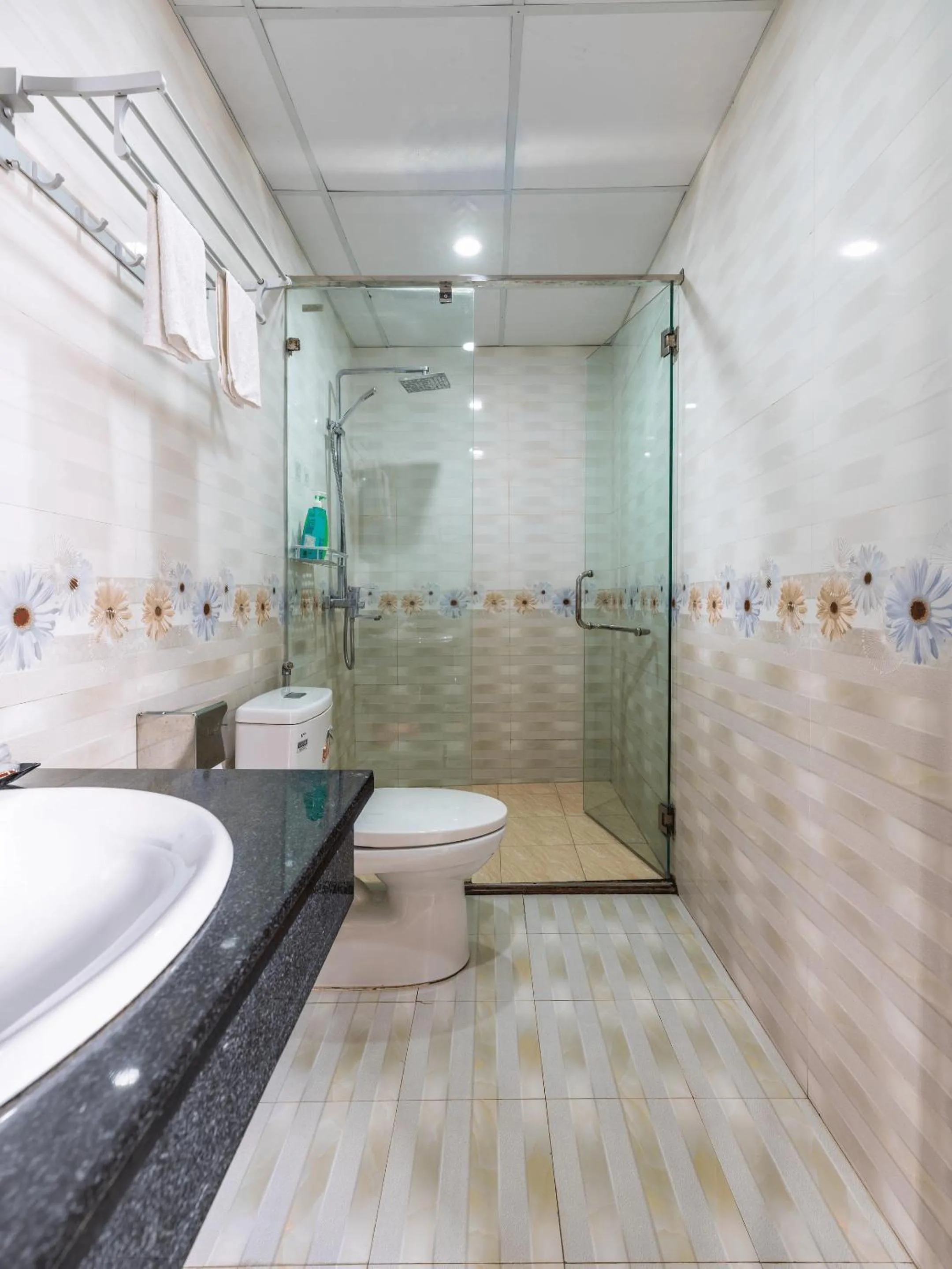 Toilet in Lys Homestay