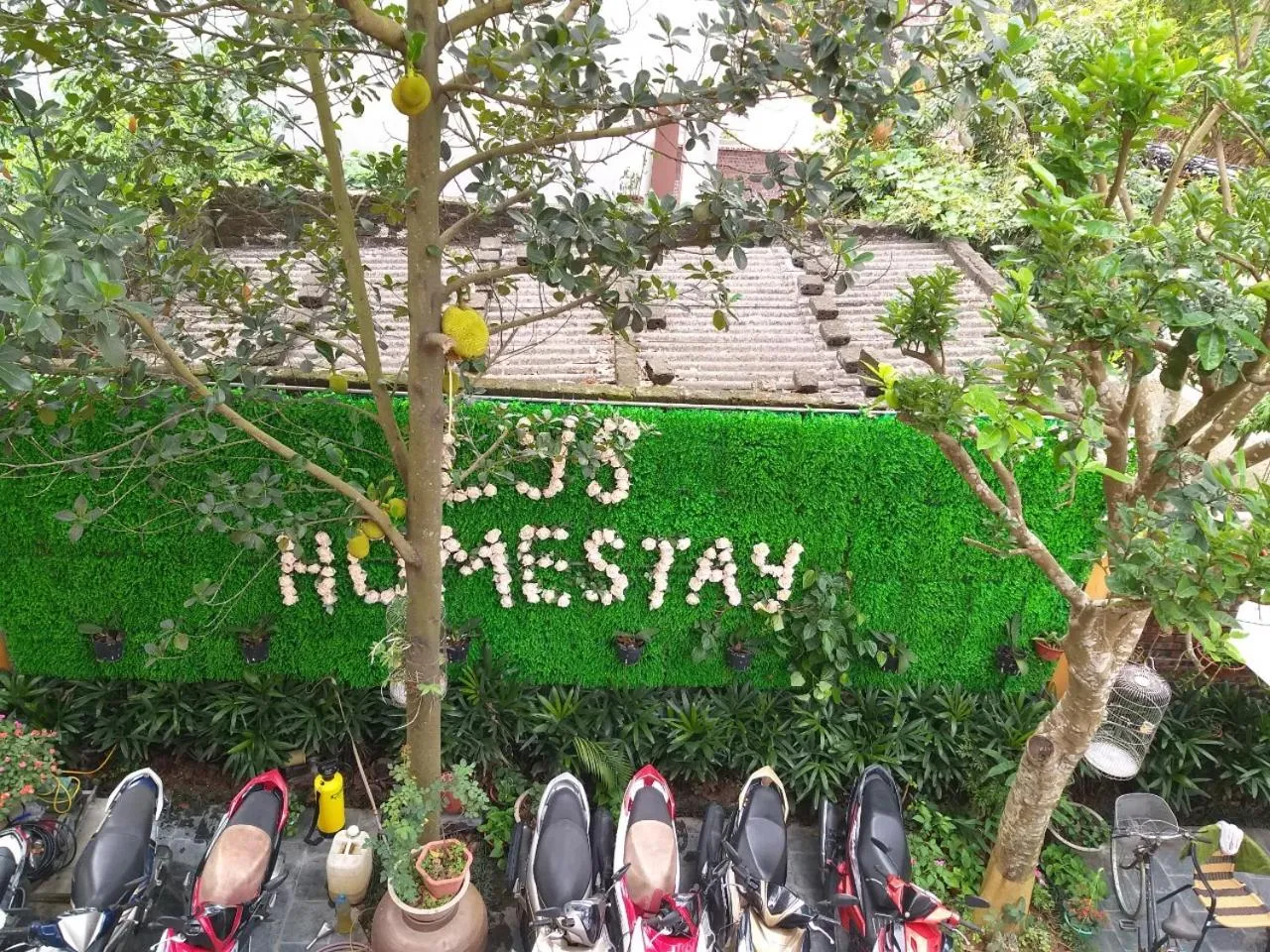 Patio in Lys Homestay