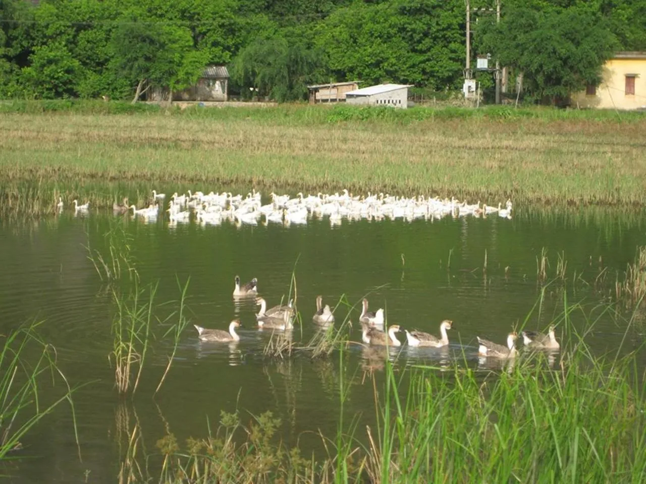 Natural landscape in Lys Homestay