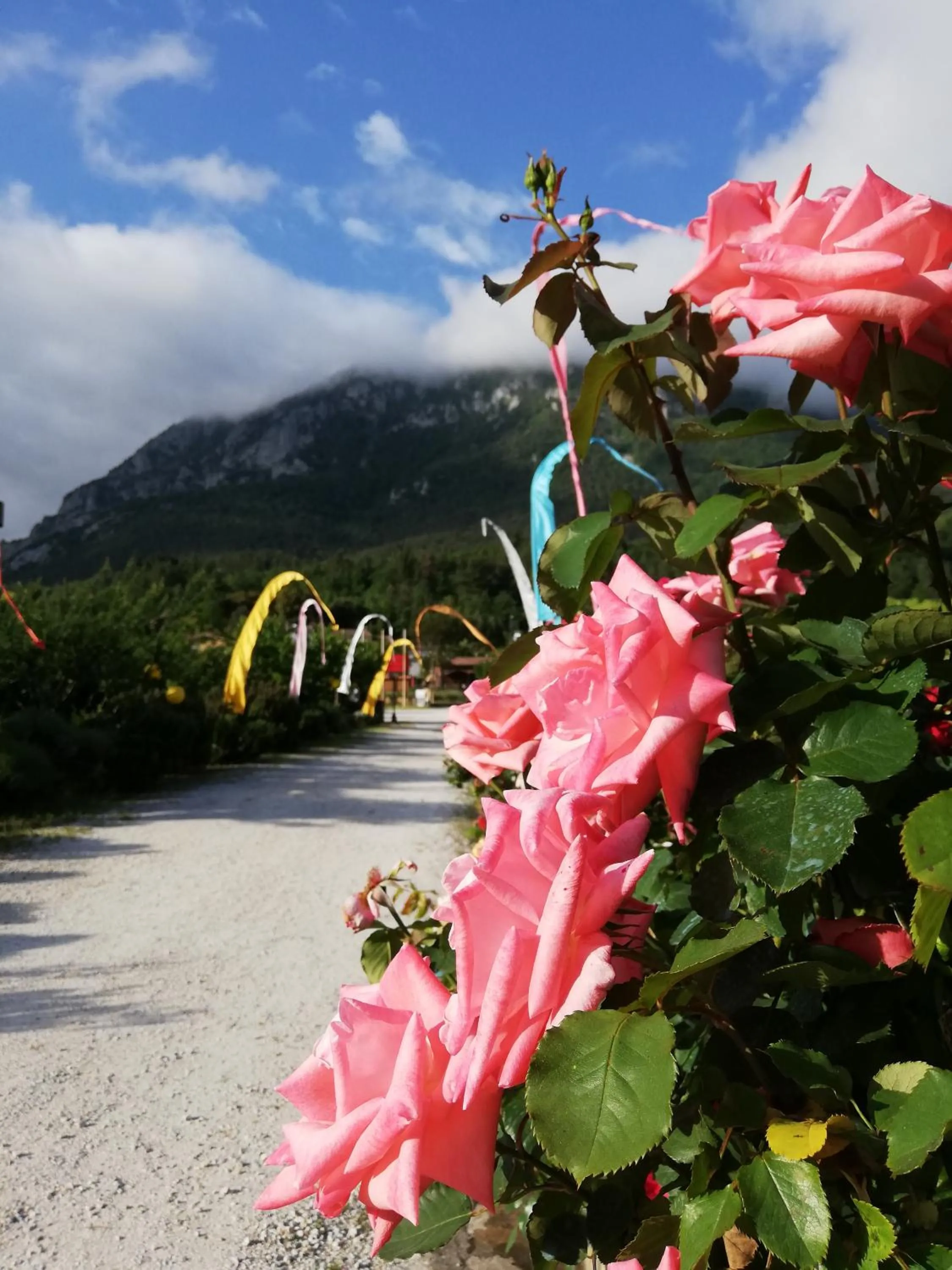 Mountain view in Hotel Restaurant Rose des Pyrénées