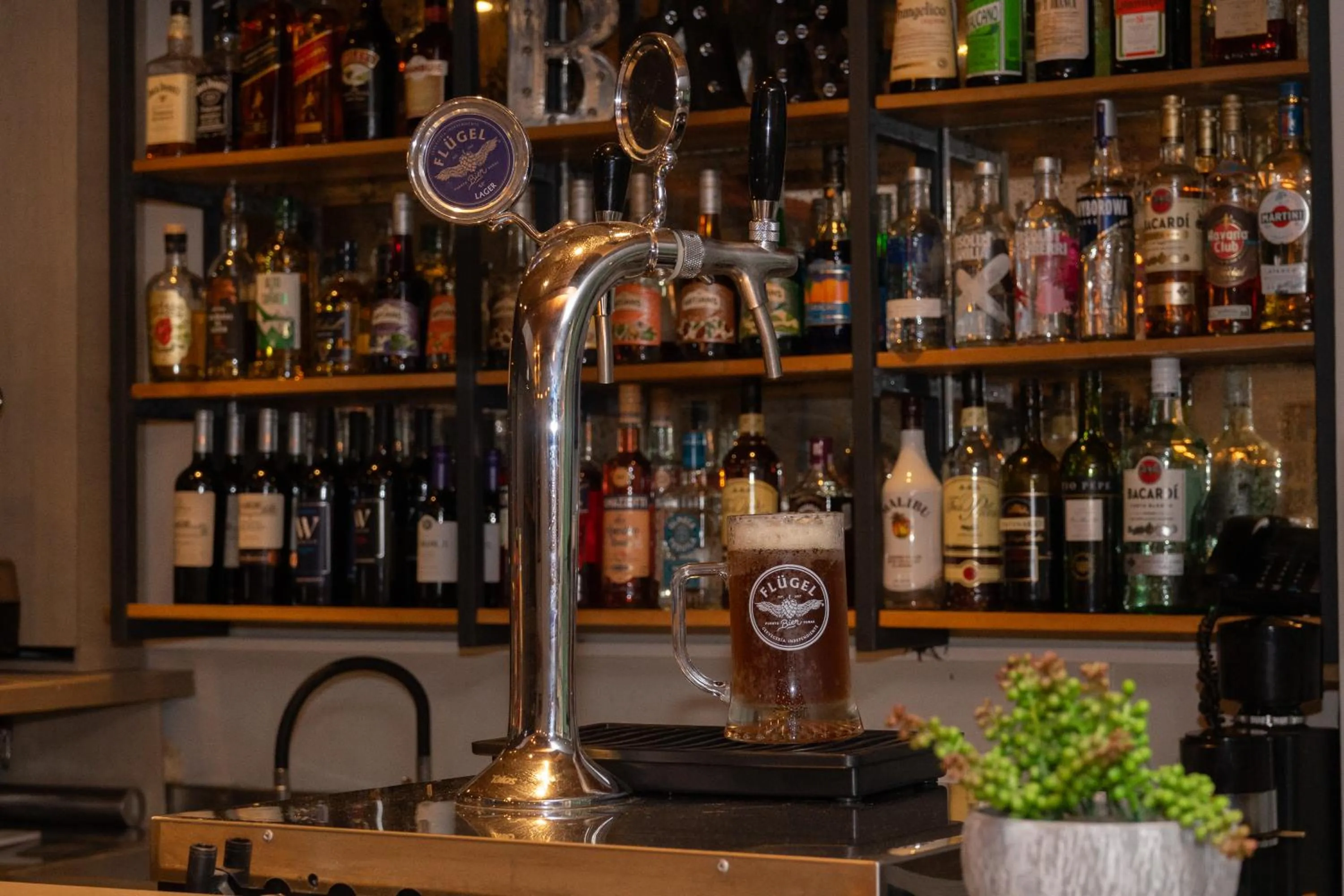 Lounge or bar in Hotel Don Luis Puerto Montt