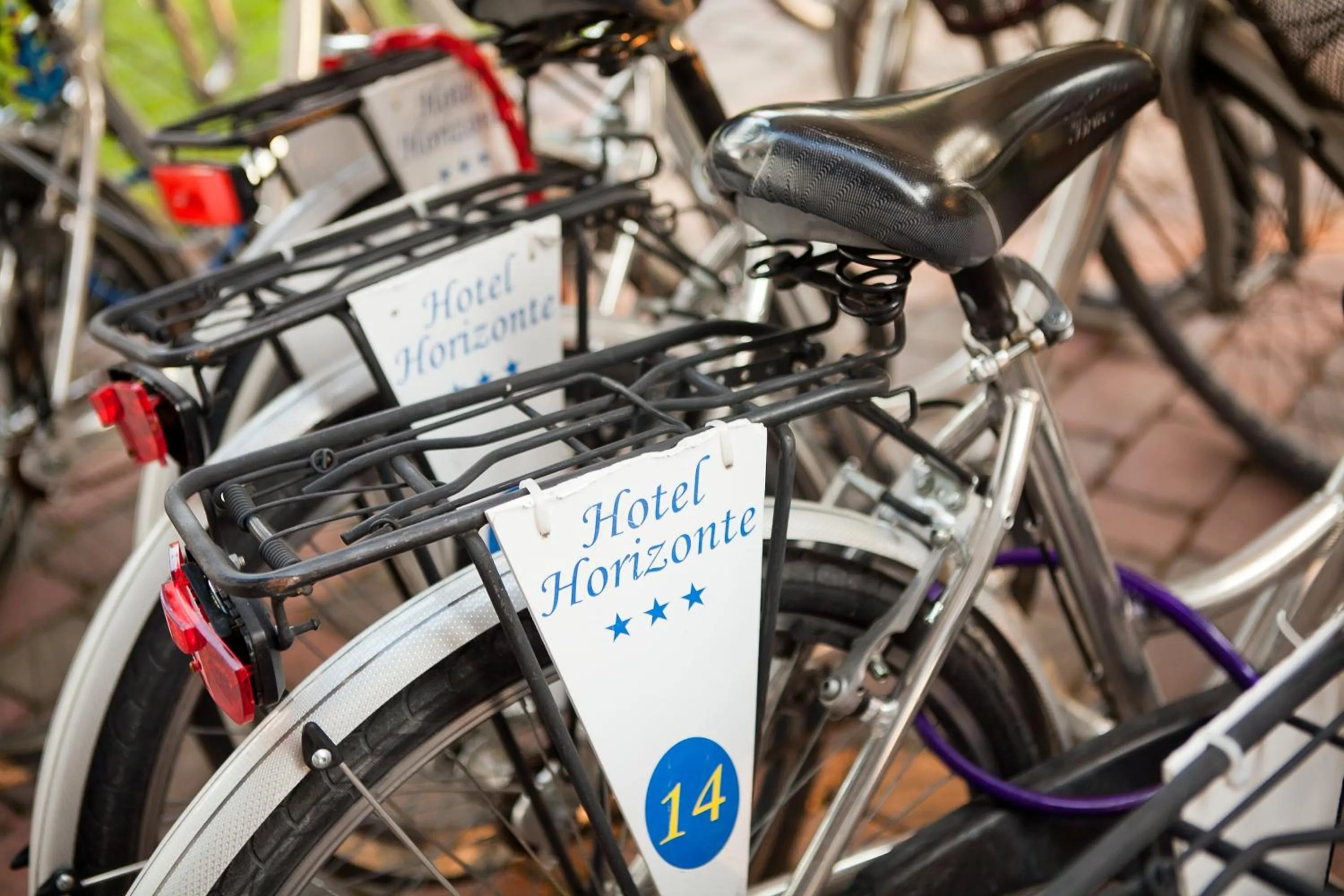 Cycling in Hotel Horizonte