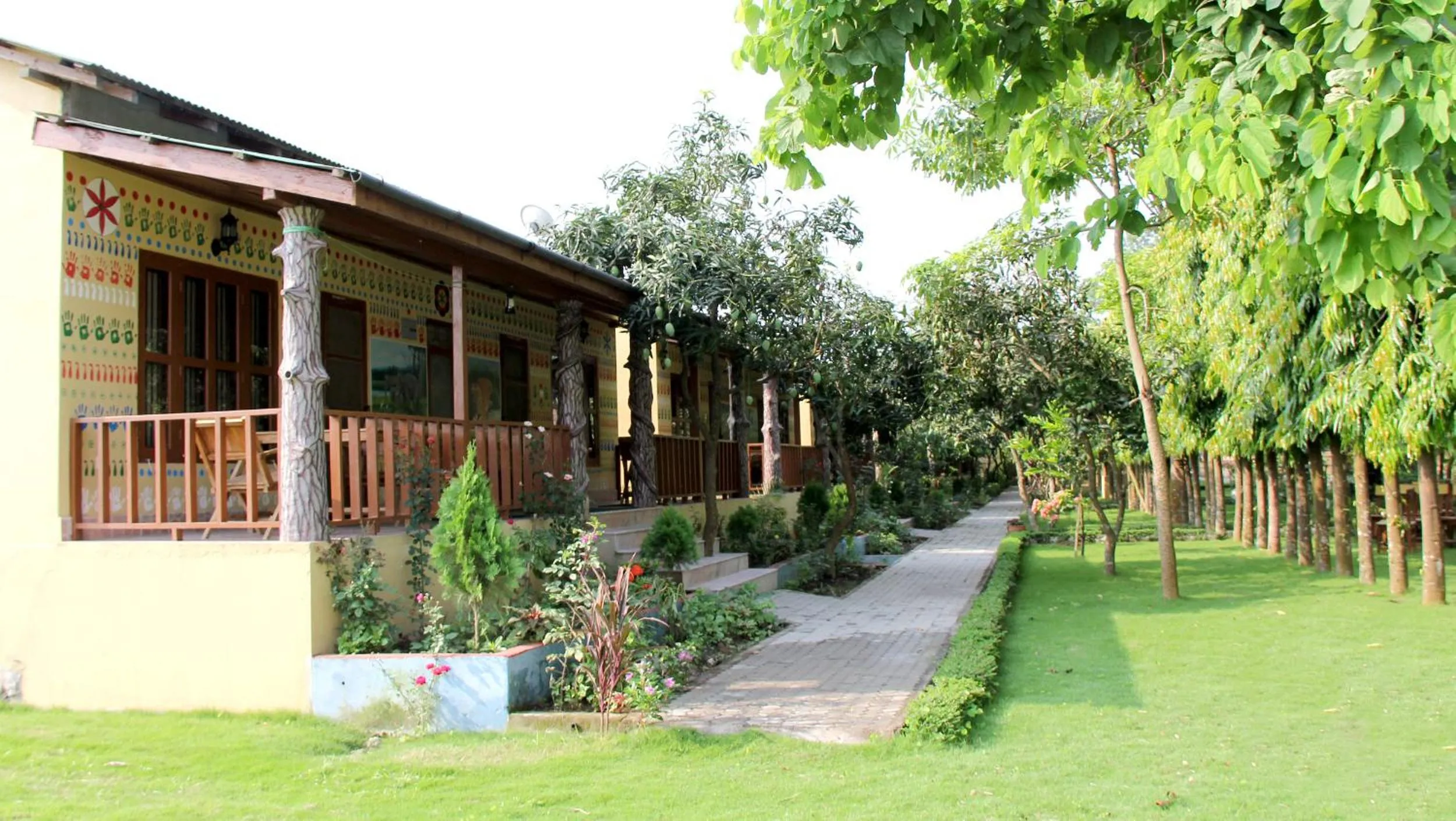 Budget Double or Twin Room - single occupancy in Rhino Land Jungle Lodge