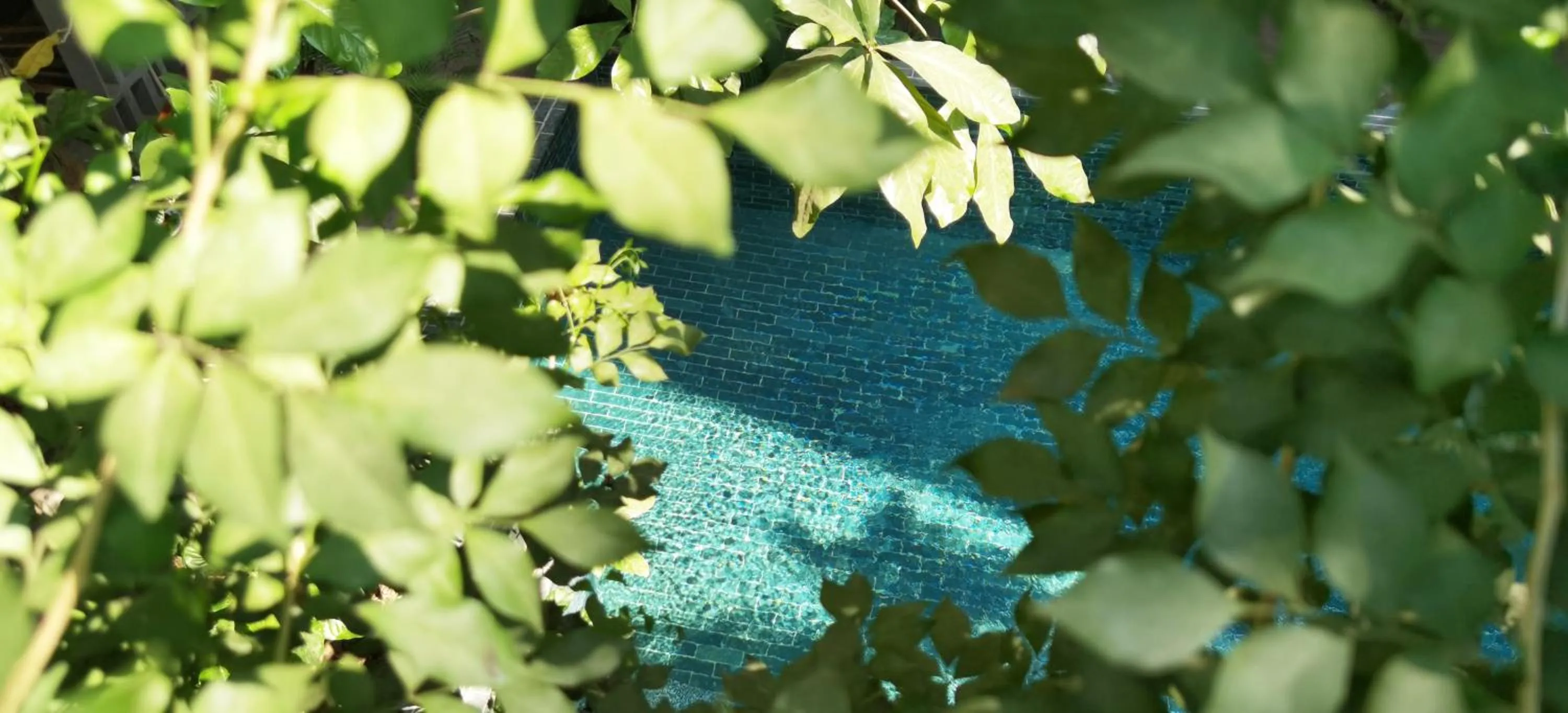 Swimming pool in Sarina Boutique Hotel