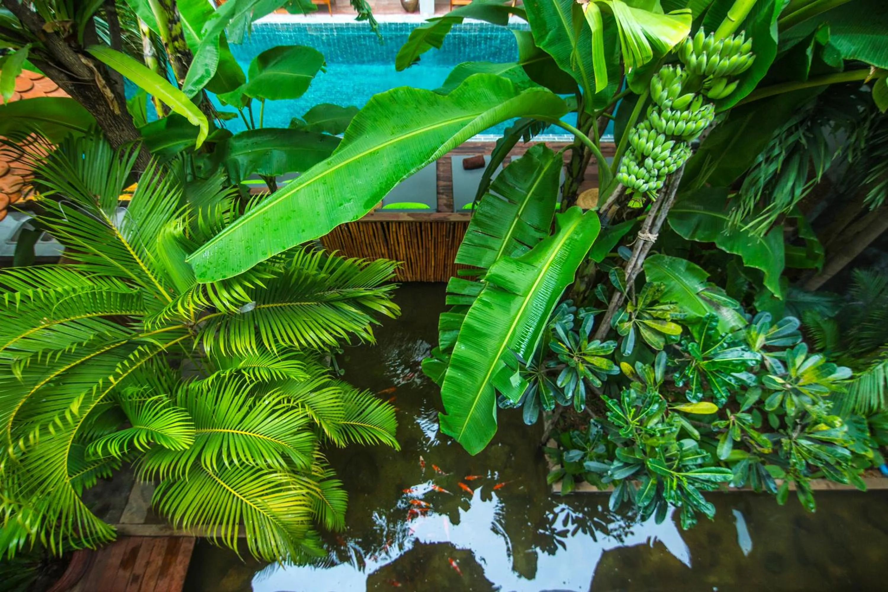 Garden in Sarina Boutique Hotel