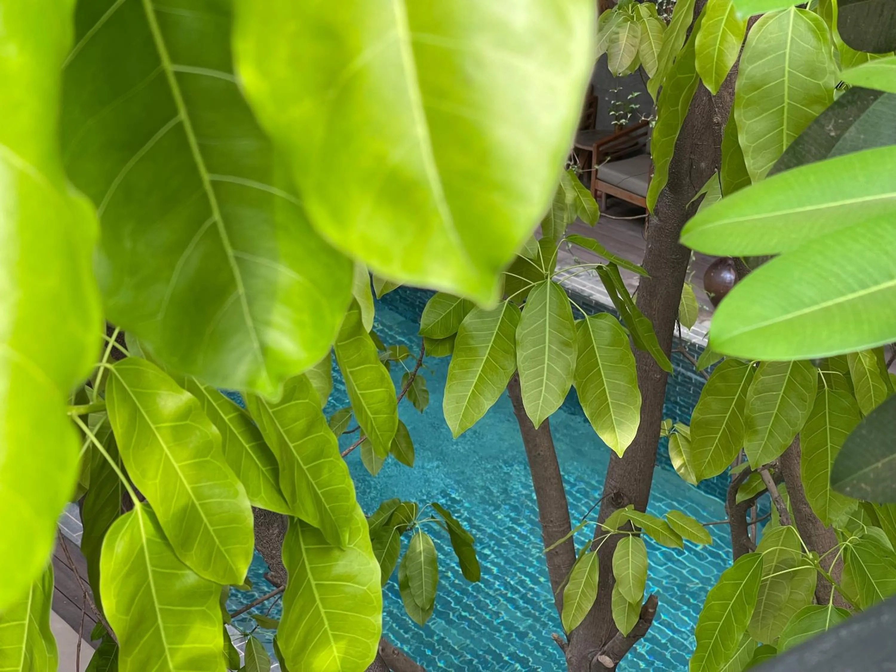 Swimming pool in Sarina Boutique Hotel