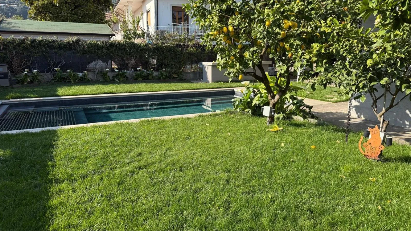Swimming pool in Villa Giulia Rooms & Bike