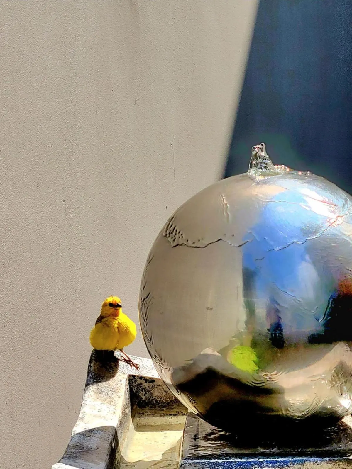 Patio in 3B Barranco by Katari Hoteles