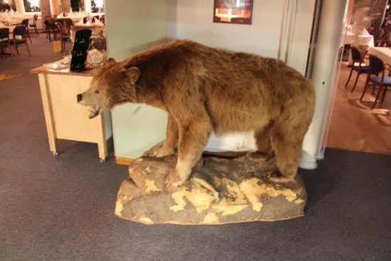 Decorative detail in Hotel Jokkmokk