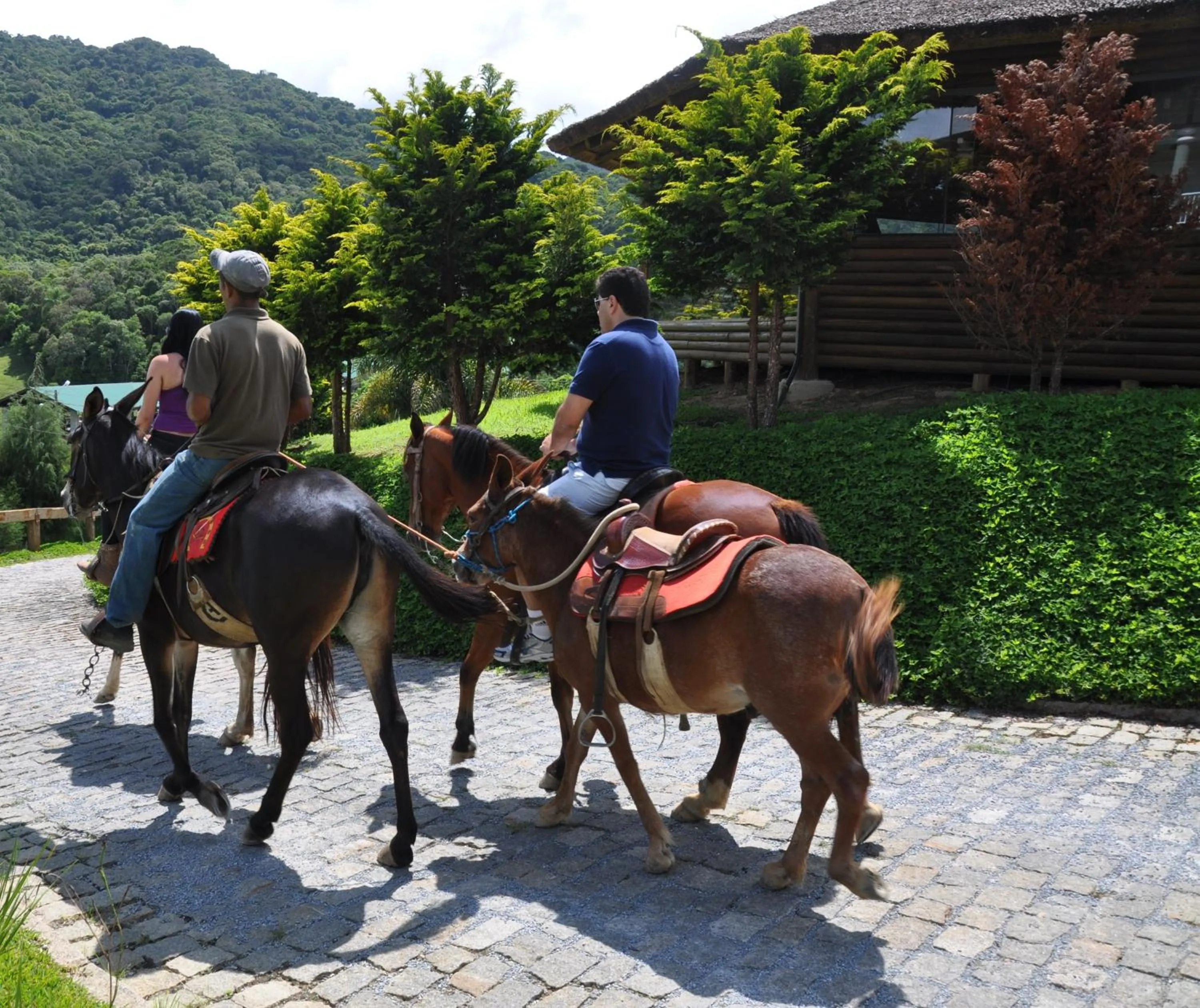 Horse-riding in Capivari Ecoresort