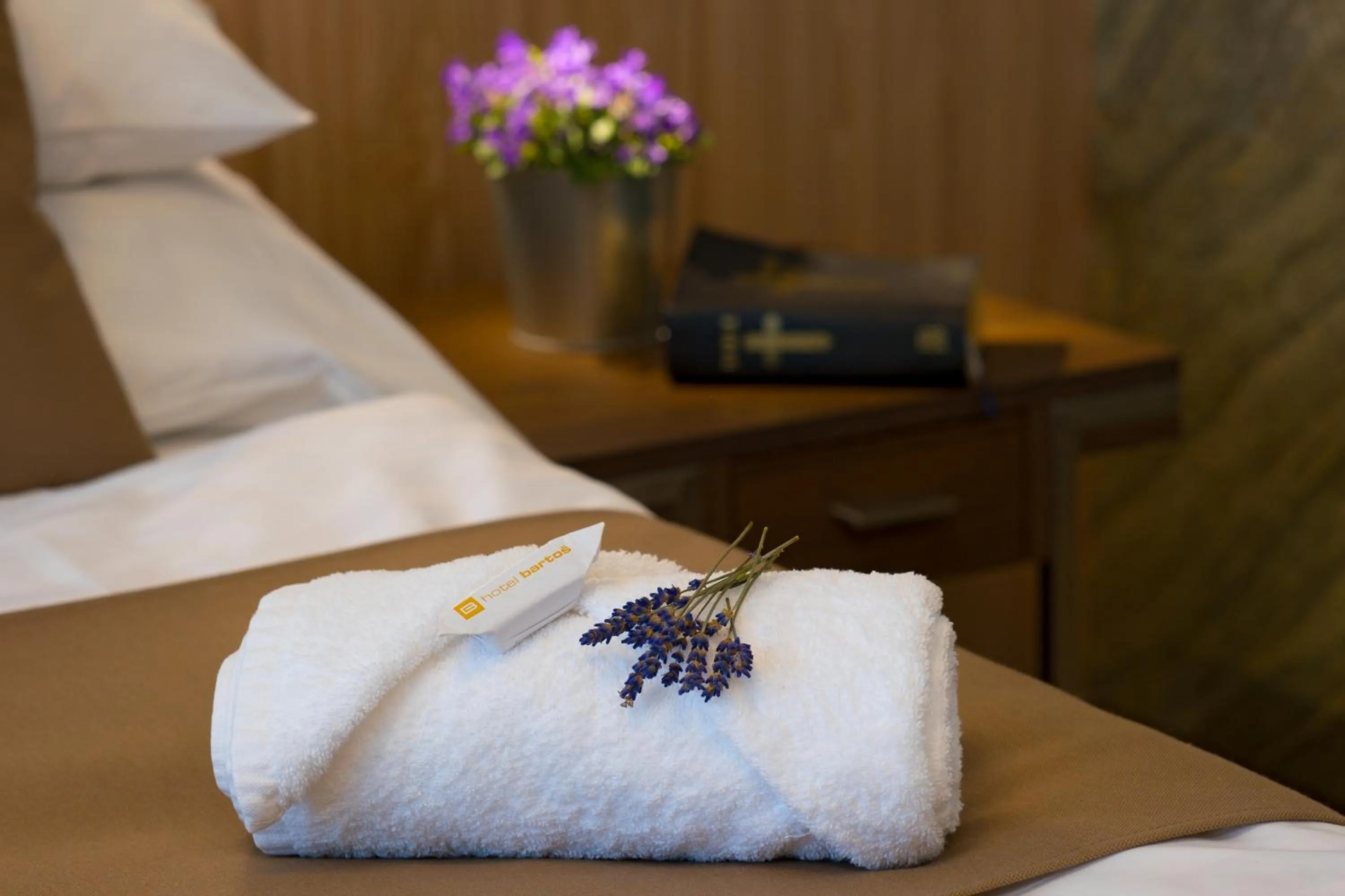 Bed in Hotel Bartoš