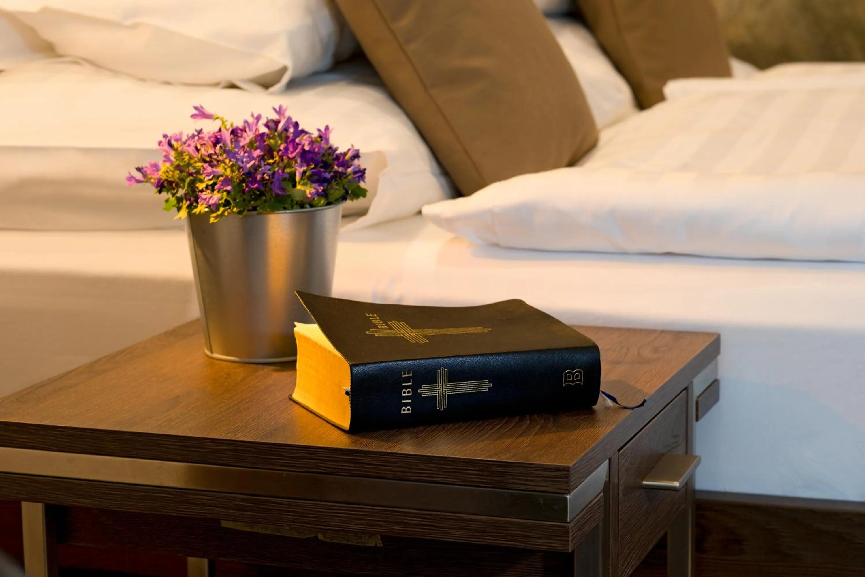 Bed in Hotel Bartoš