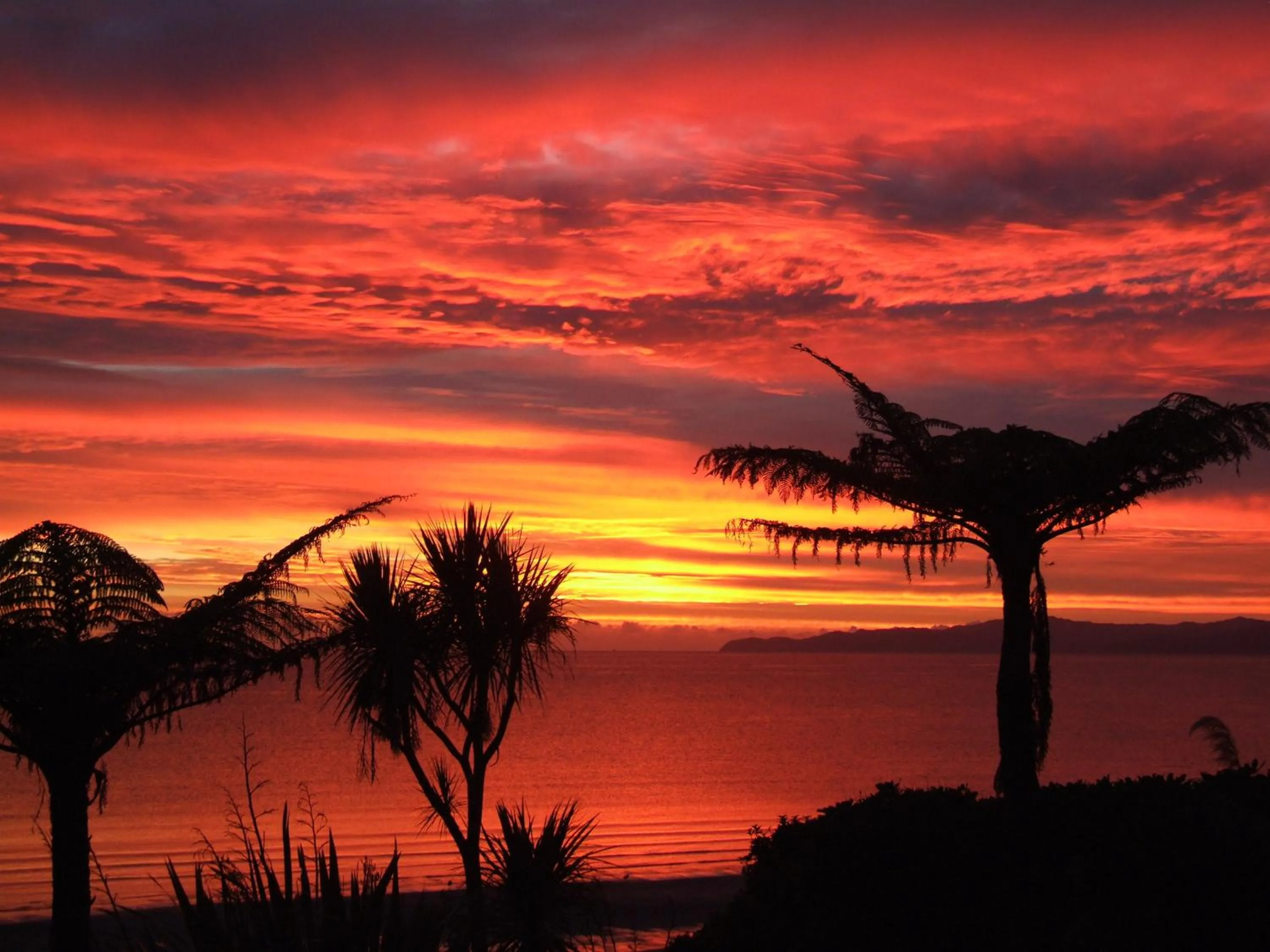 Summer in Adrift In Golden Bay- Absolute Beachfront Villas