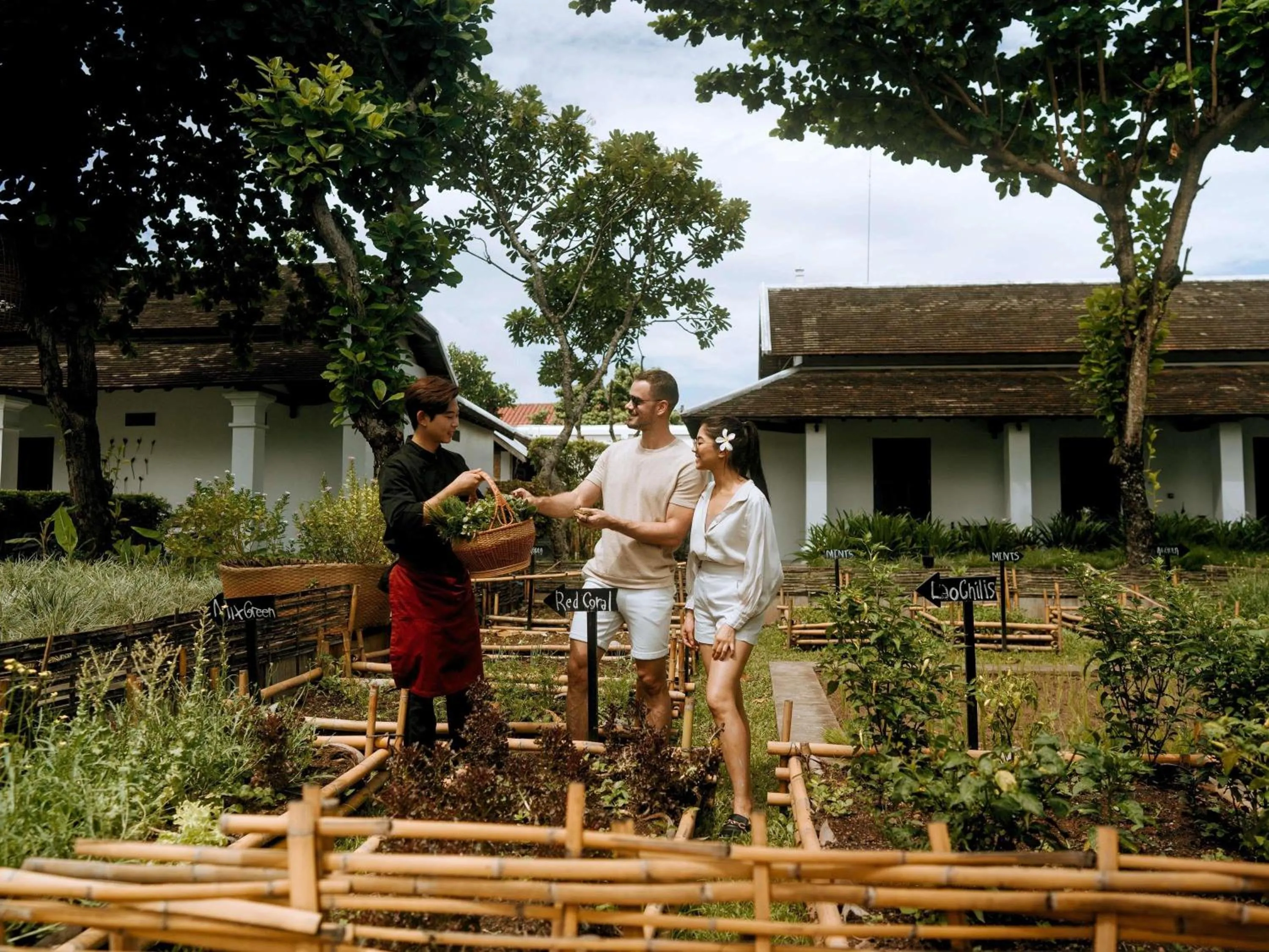 Restaurant/places to eat in Sofitel Luang Prabang