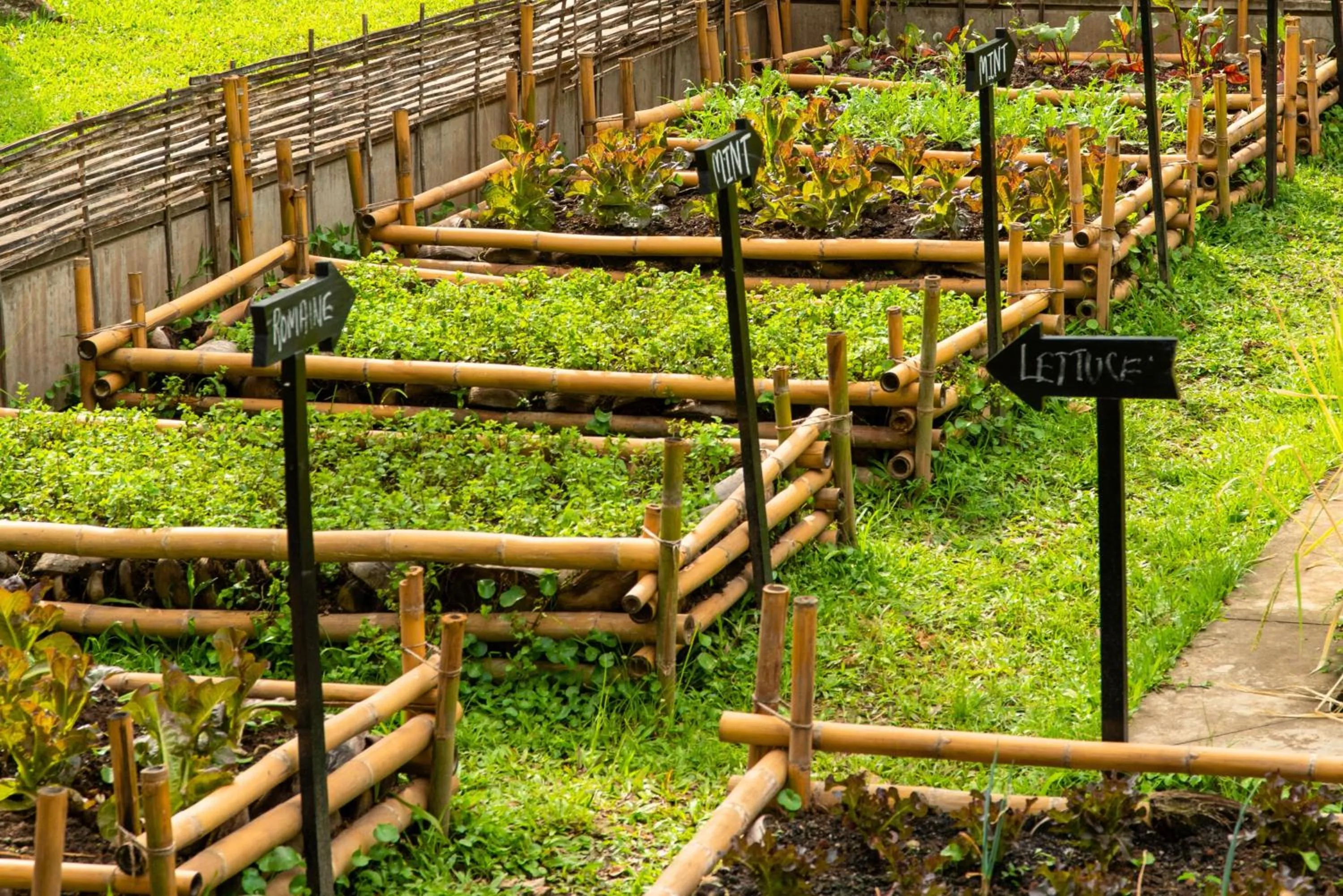 Garden in Sofitel Luang Prabang
