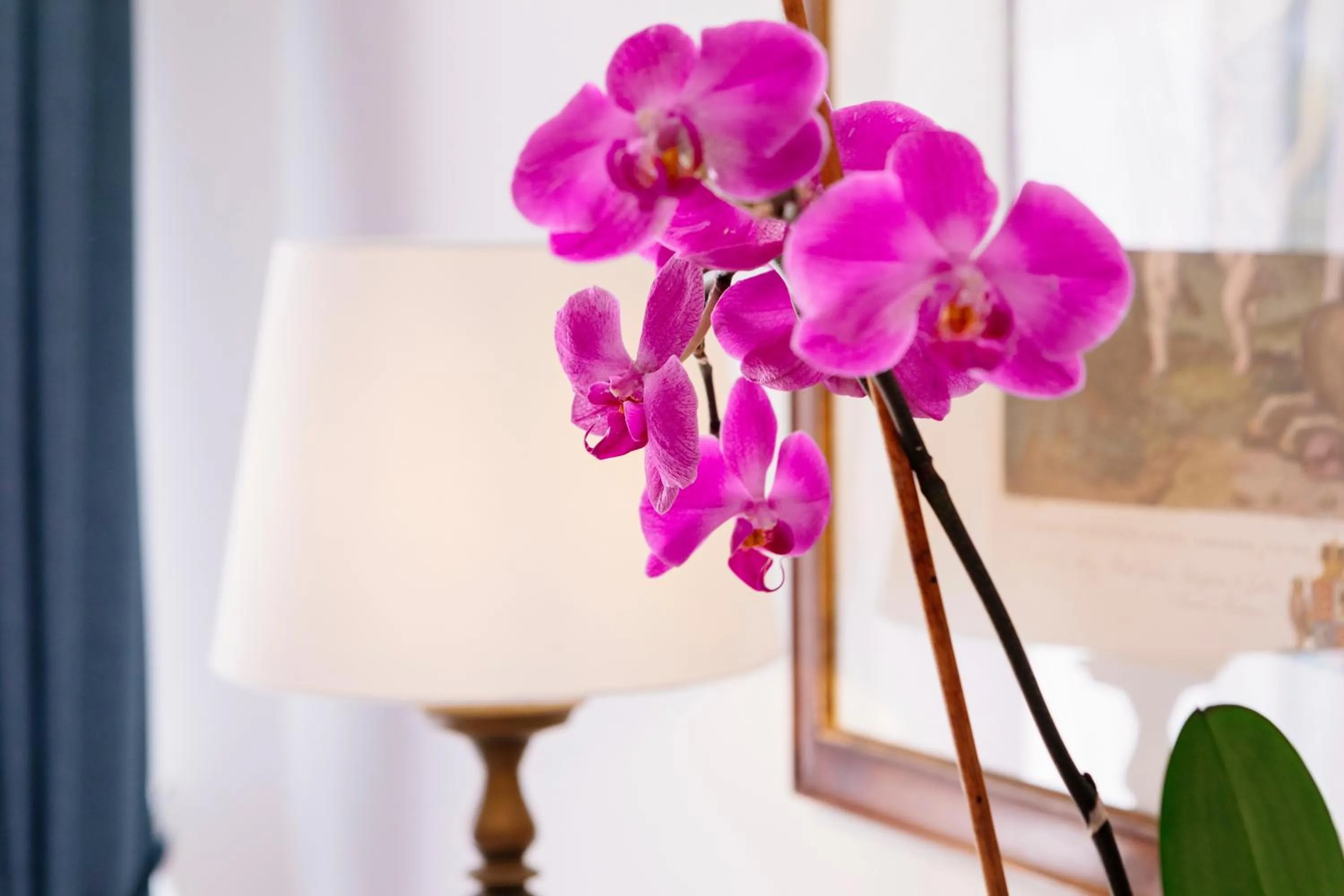 TV and multimedia in La Bizantina Luxury Villa