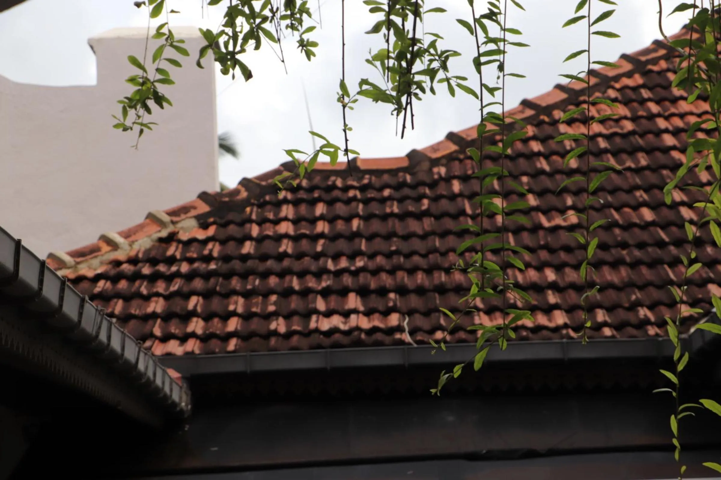 Property building in Suite Lanka