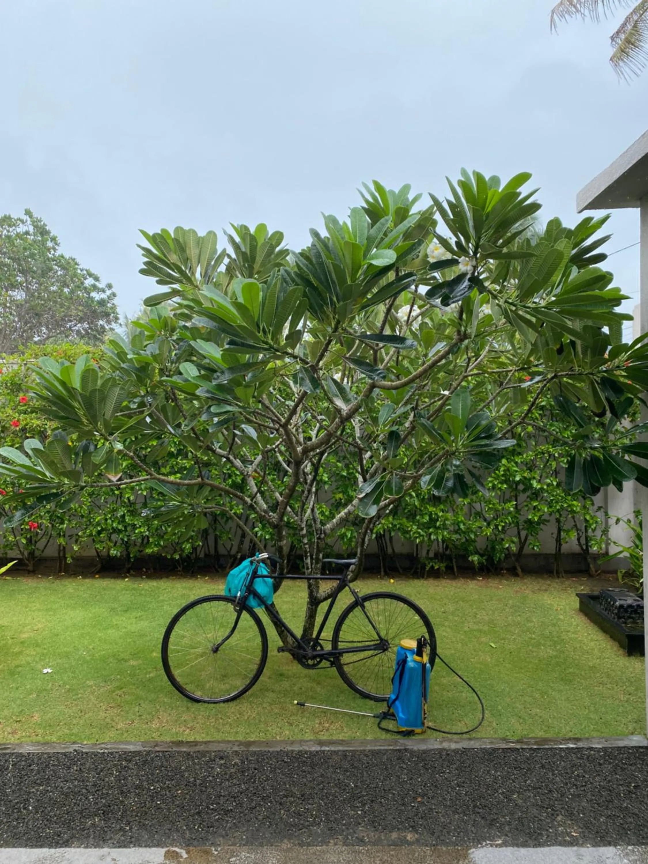 Garden in Suite Lanka