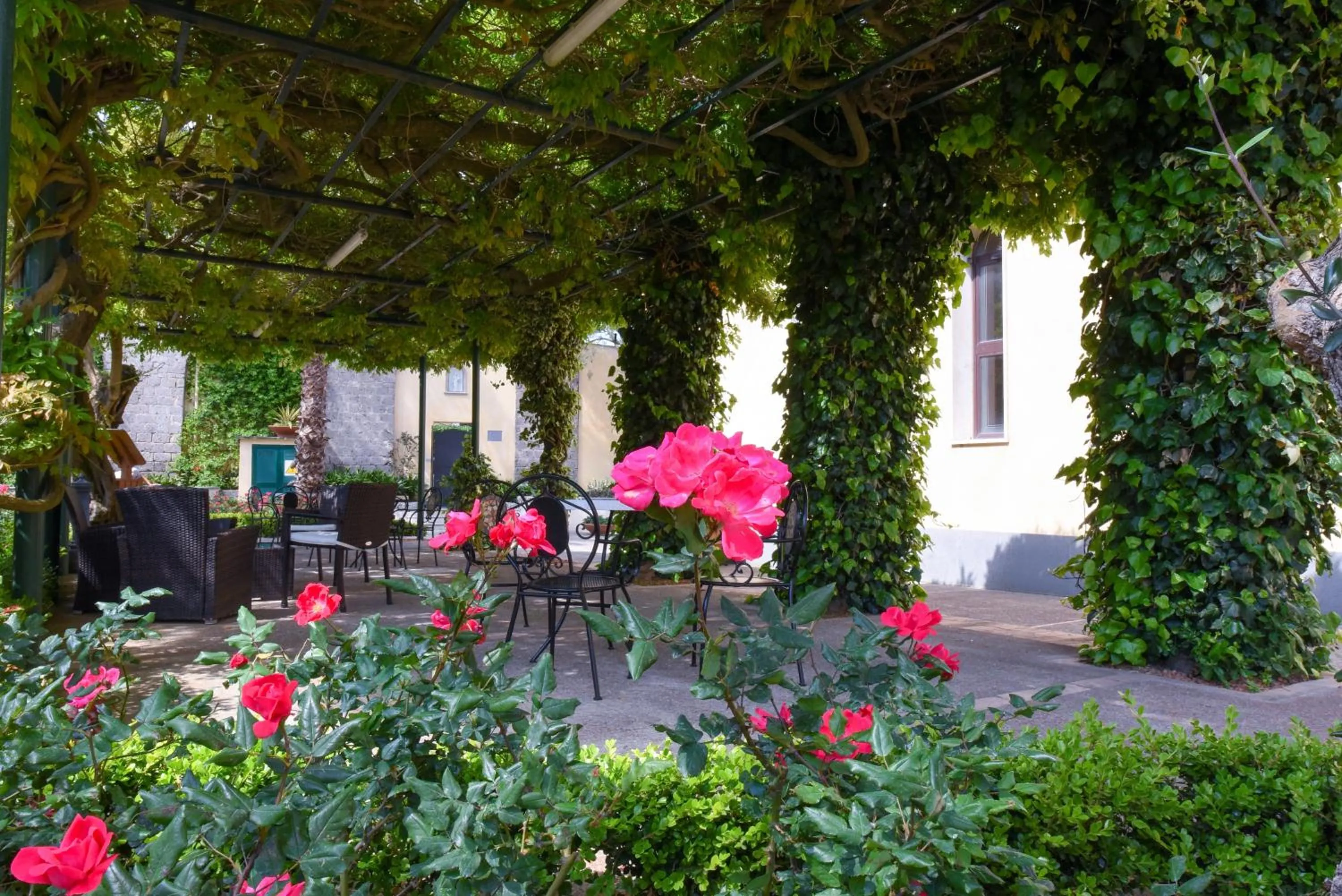 Patio in Villa Crawford
