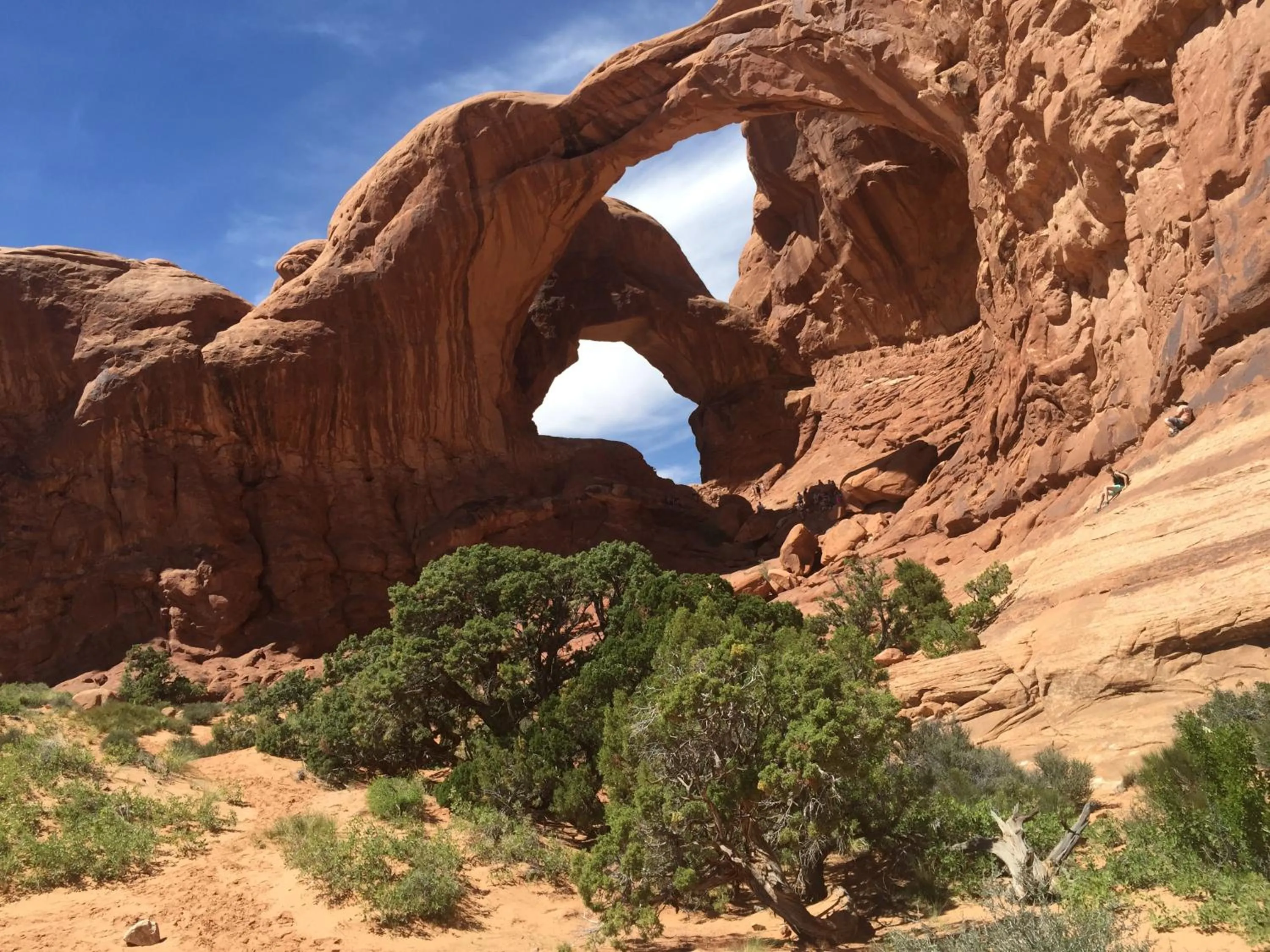 Natural landscape in Oleander Place