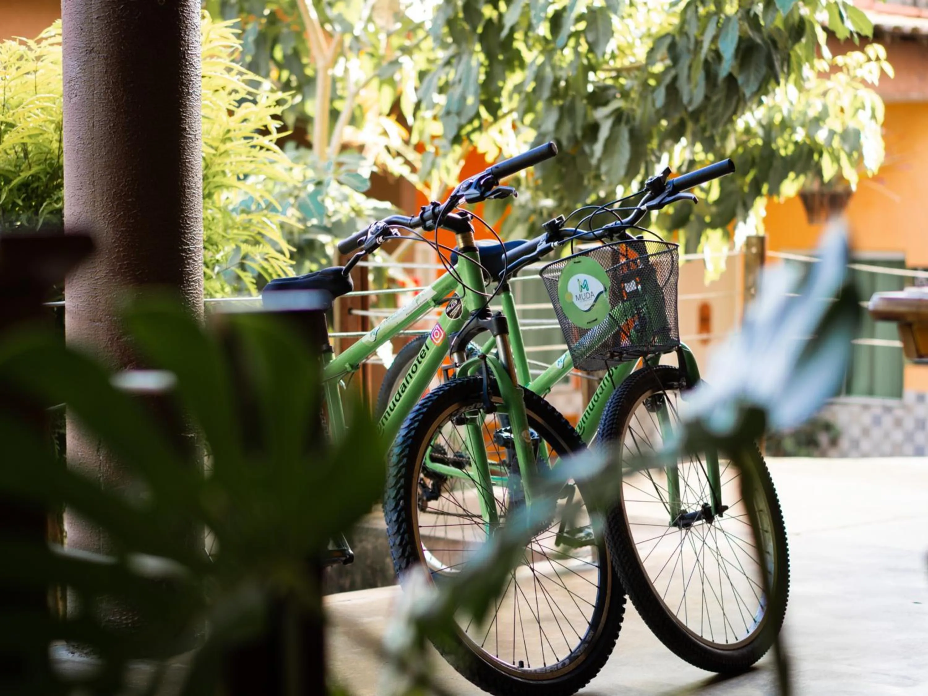 Activities in Muda Hotel