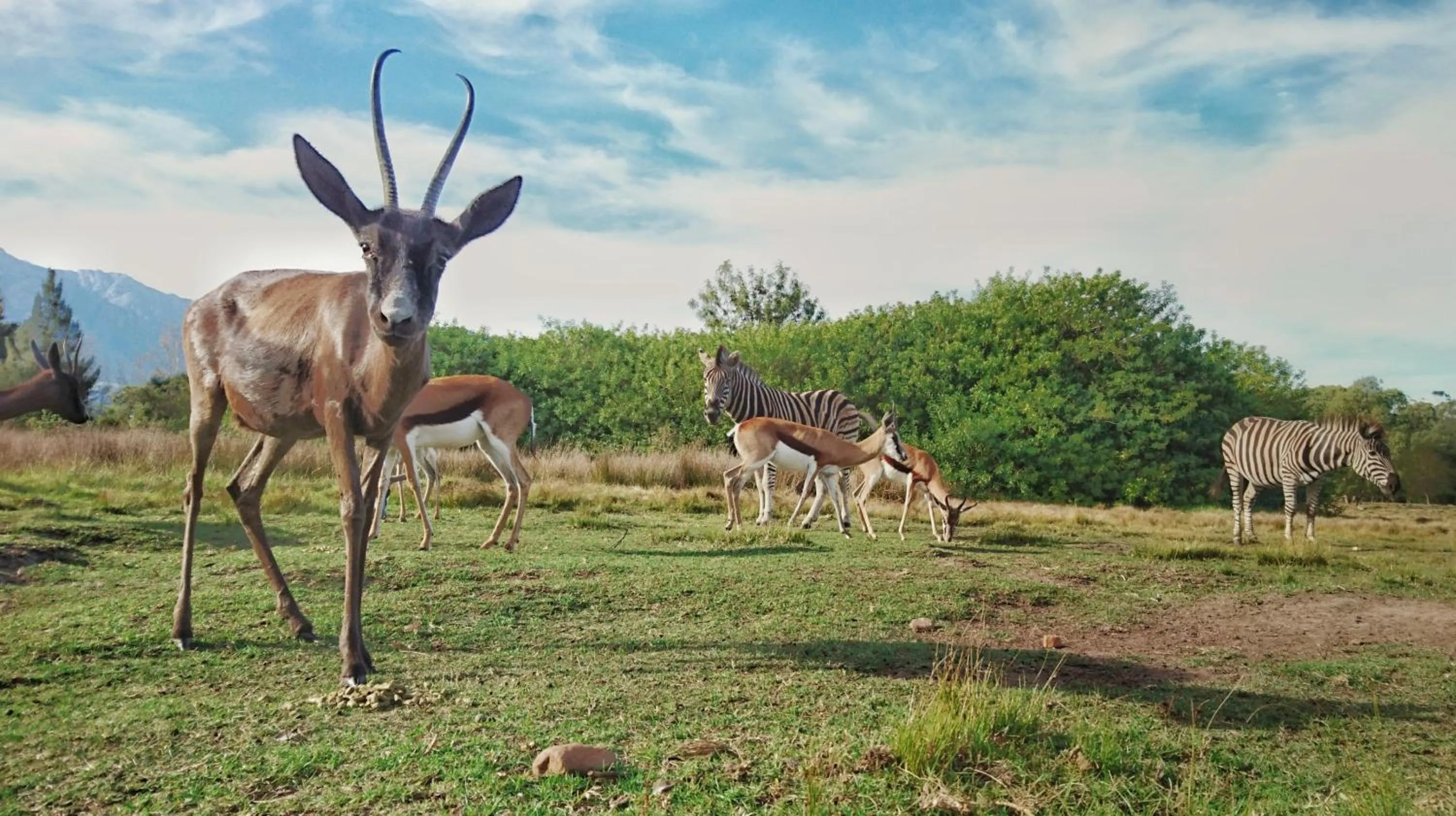 Day in Rothman Manor