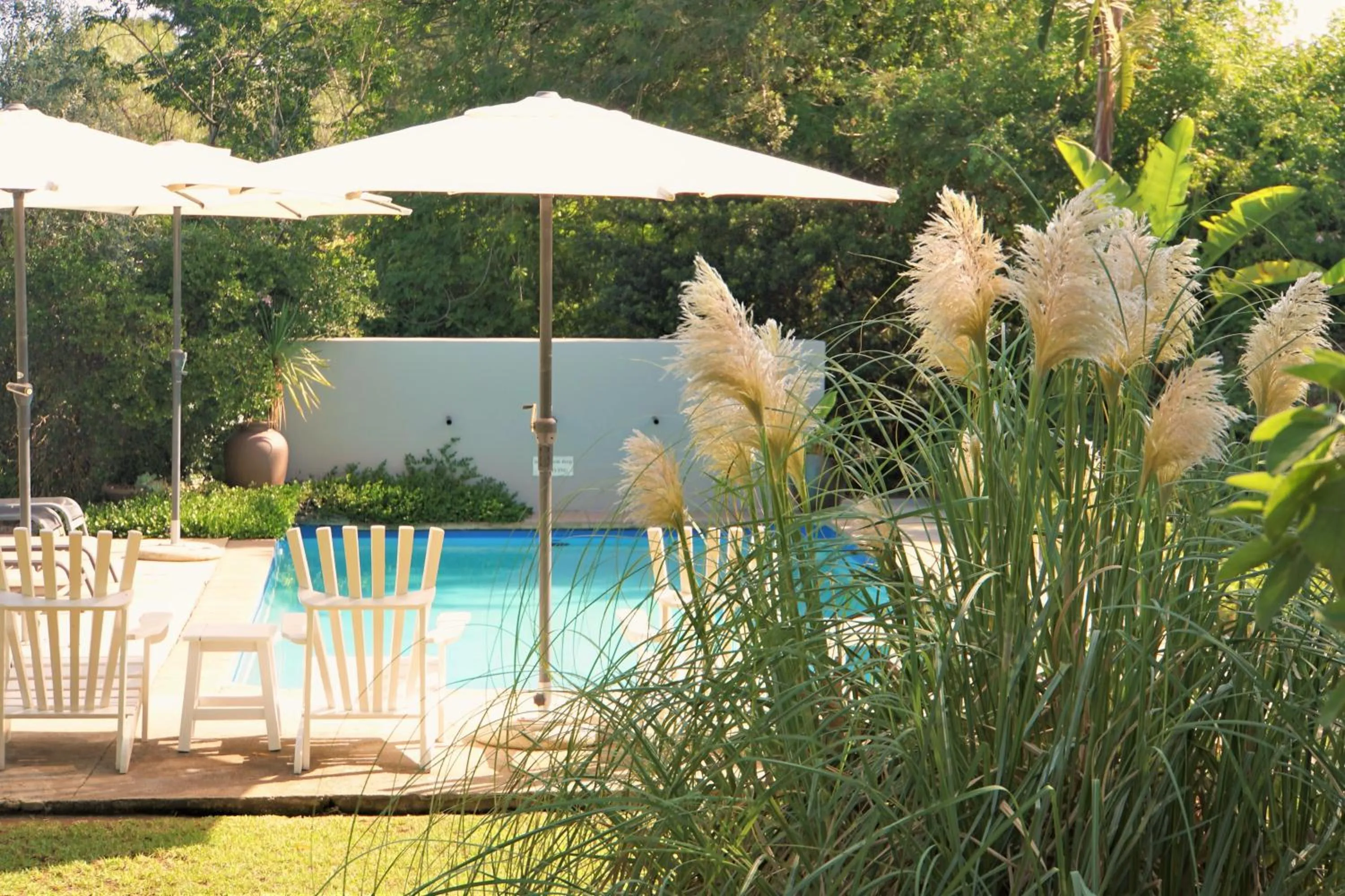 Swimming pool in Swellendam Country Lodge - Guest House - B&B