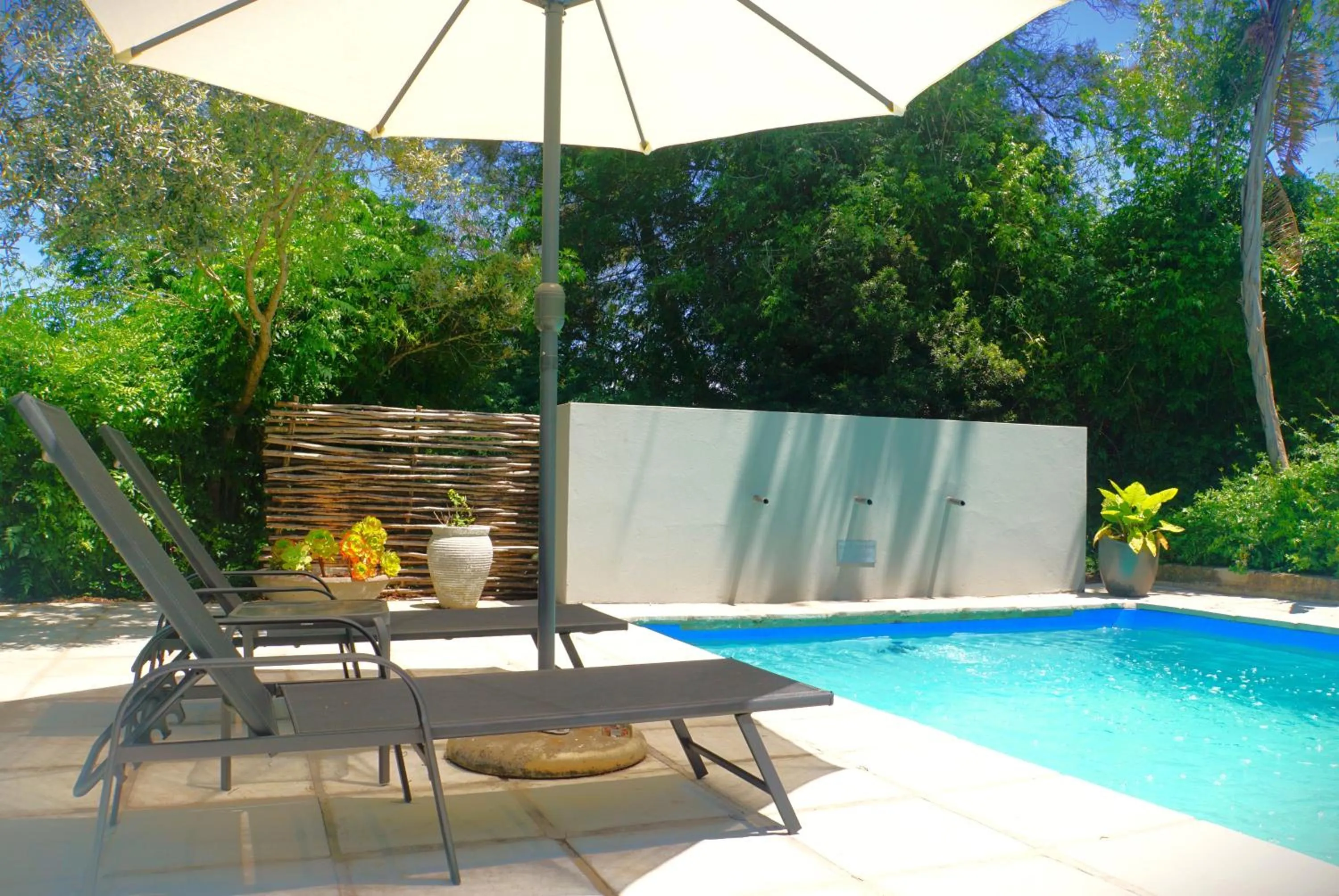 Swimming pool in Swellendam Country Lodge - Guest House - B&B