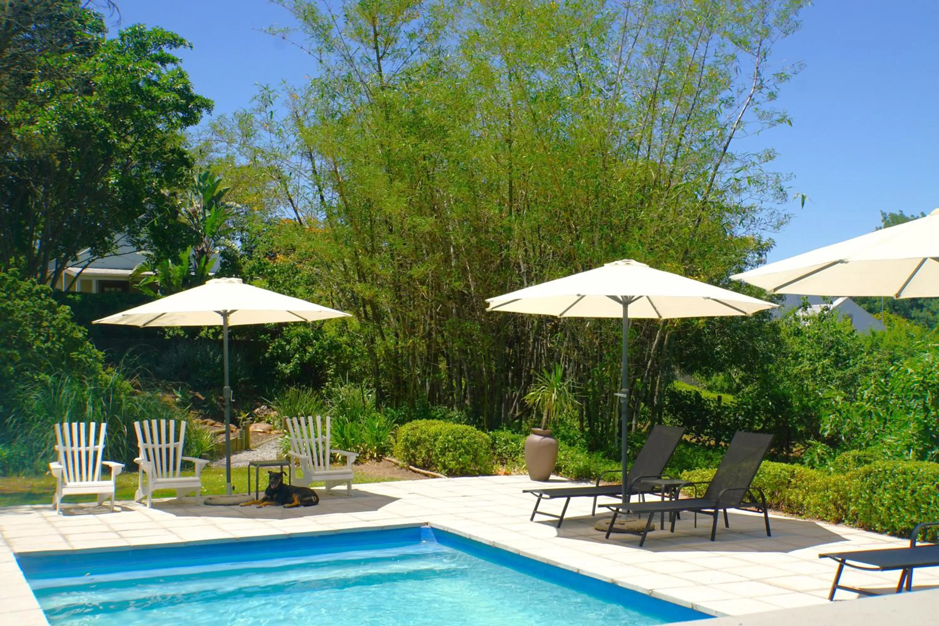 Swimming pool in Swellendam Country Lodge - Guest House - B&B