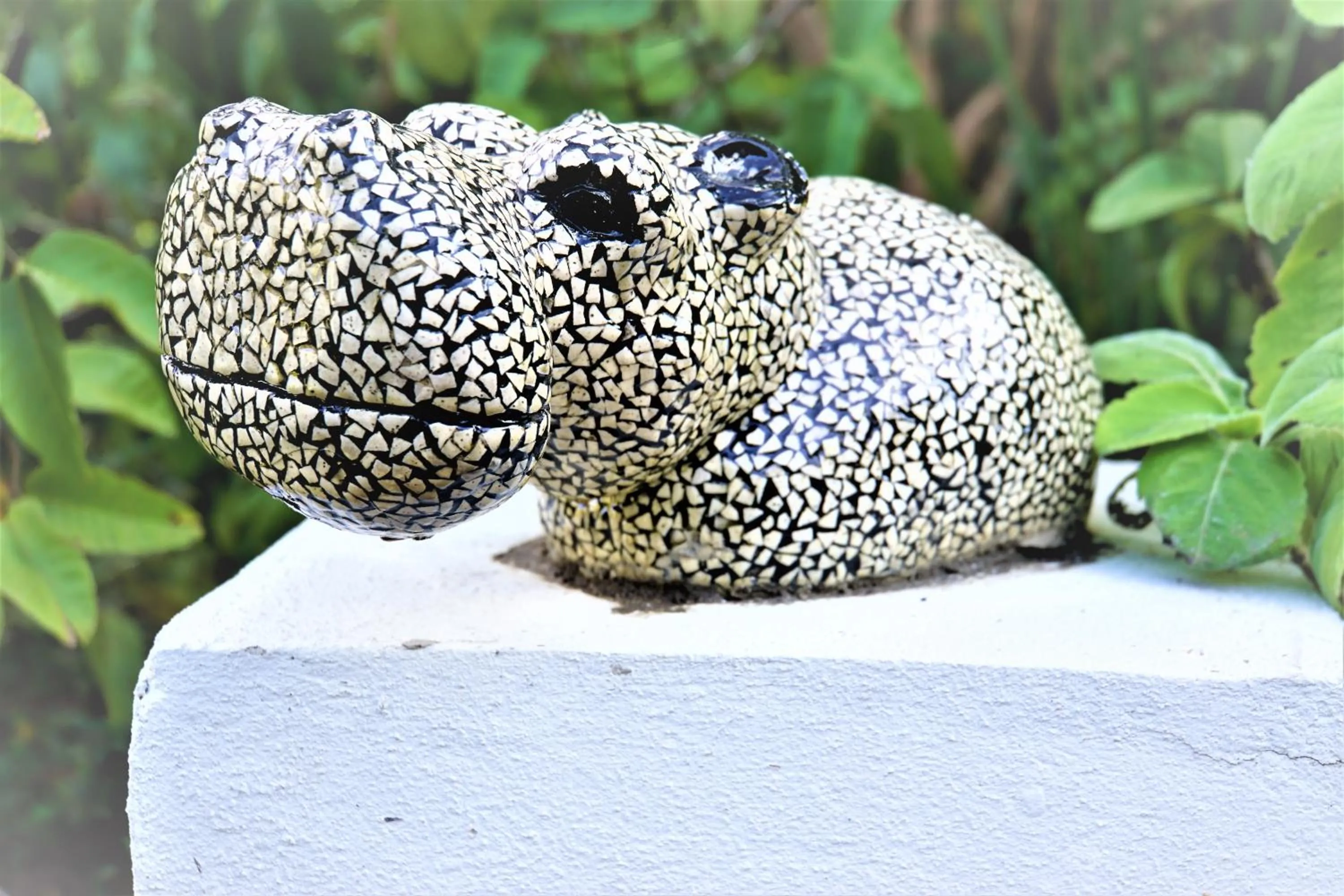 Garden in Swellendam Country Lodge - Guest House - B&B