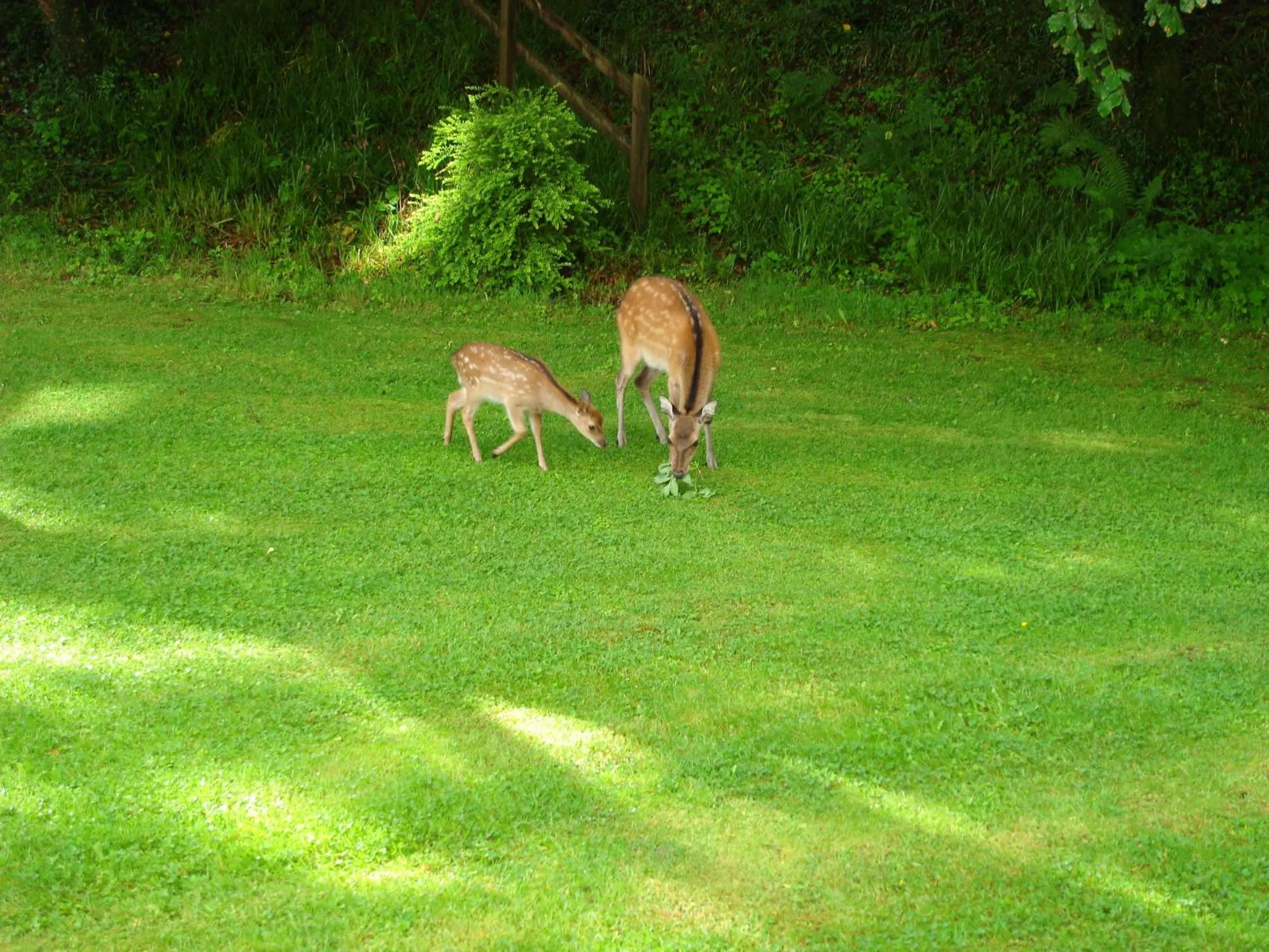 Area and facilities in Gleann Fia Country House