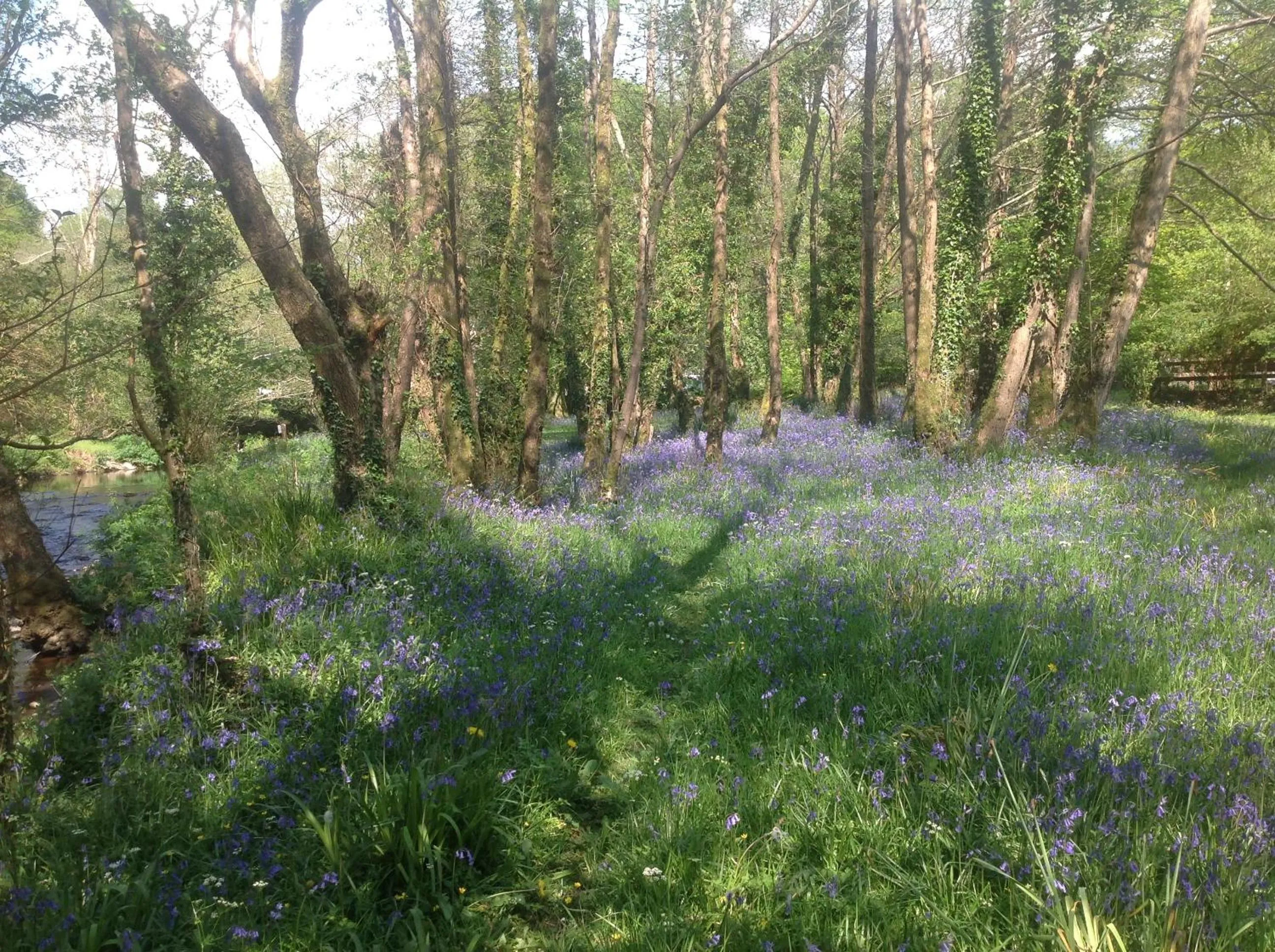 Garden in Gleann Fia Country House