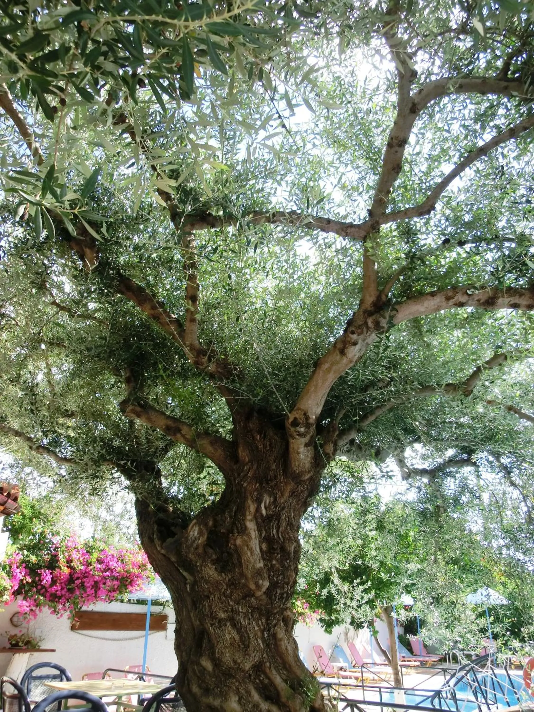 Other in Kastro Studios Apartments