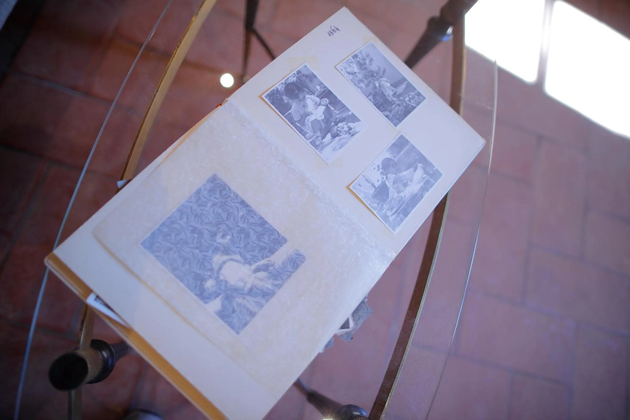 Residenza La Musa Amarcord