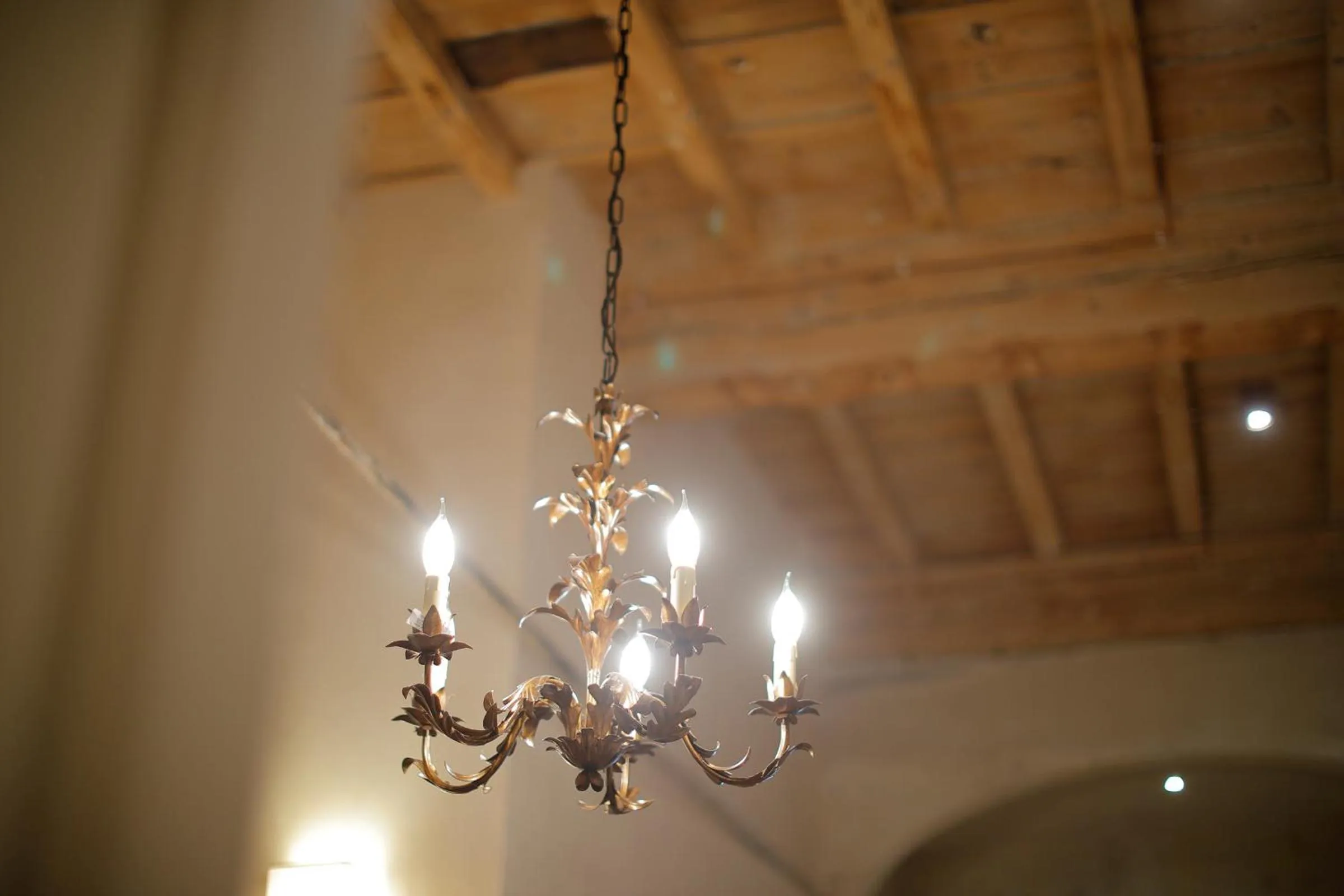 Residenza La Musa Amarcord