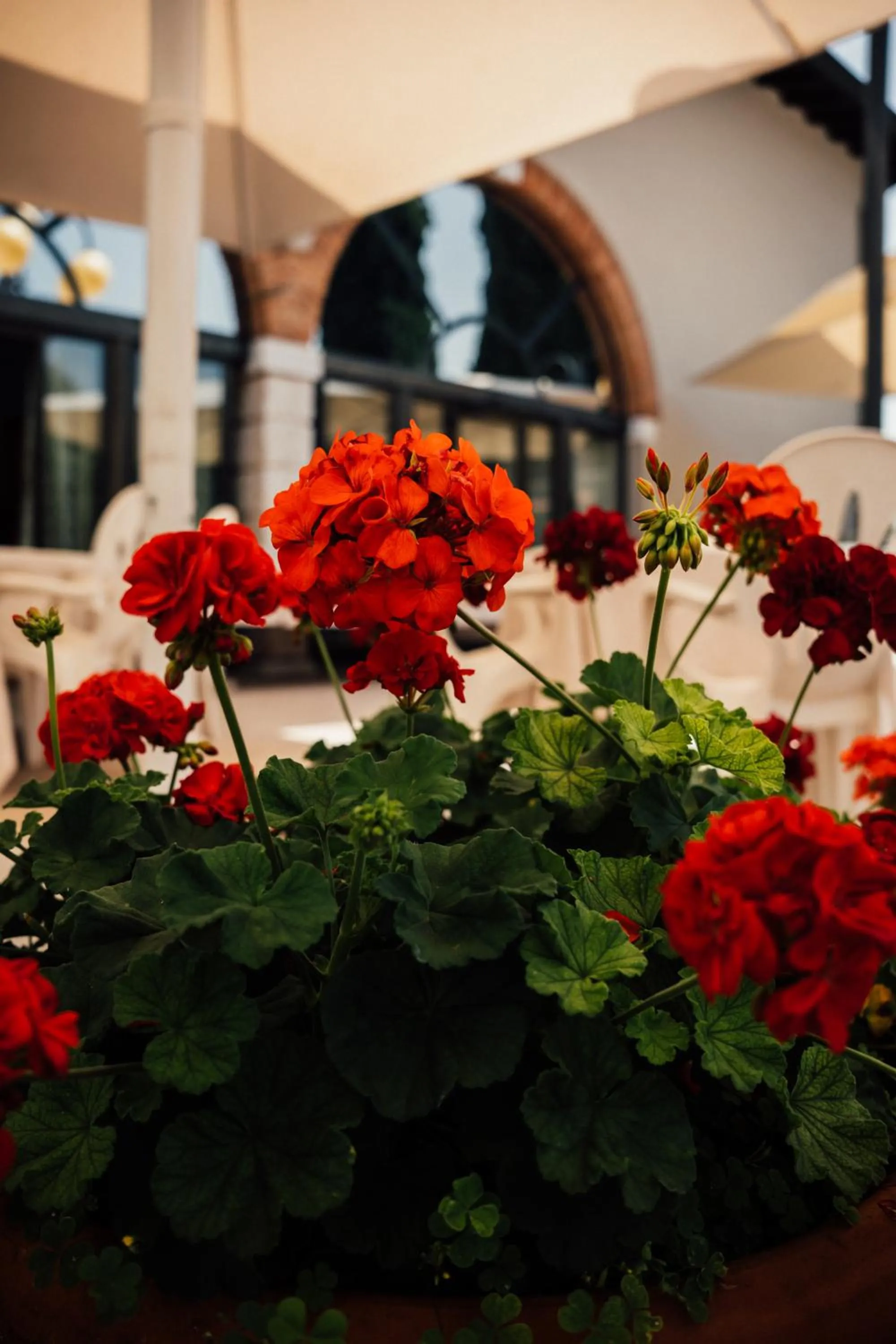 Decorative detail in Albergo La Meridiana