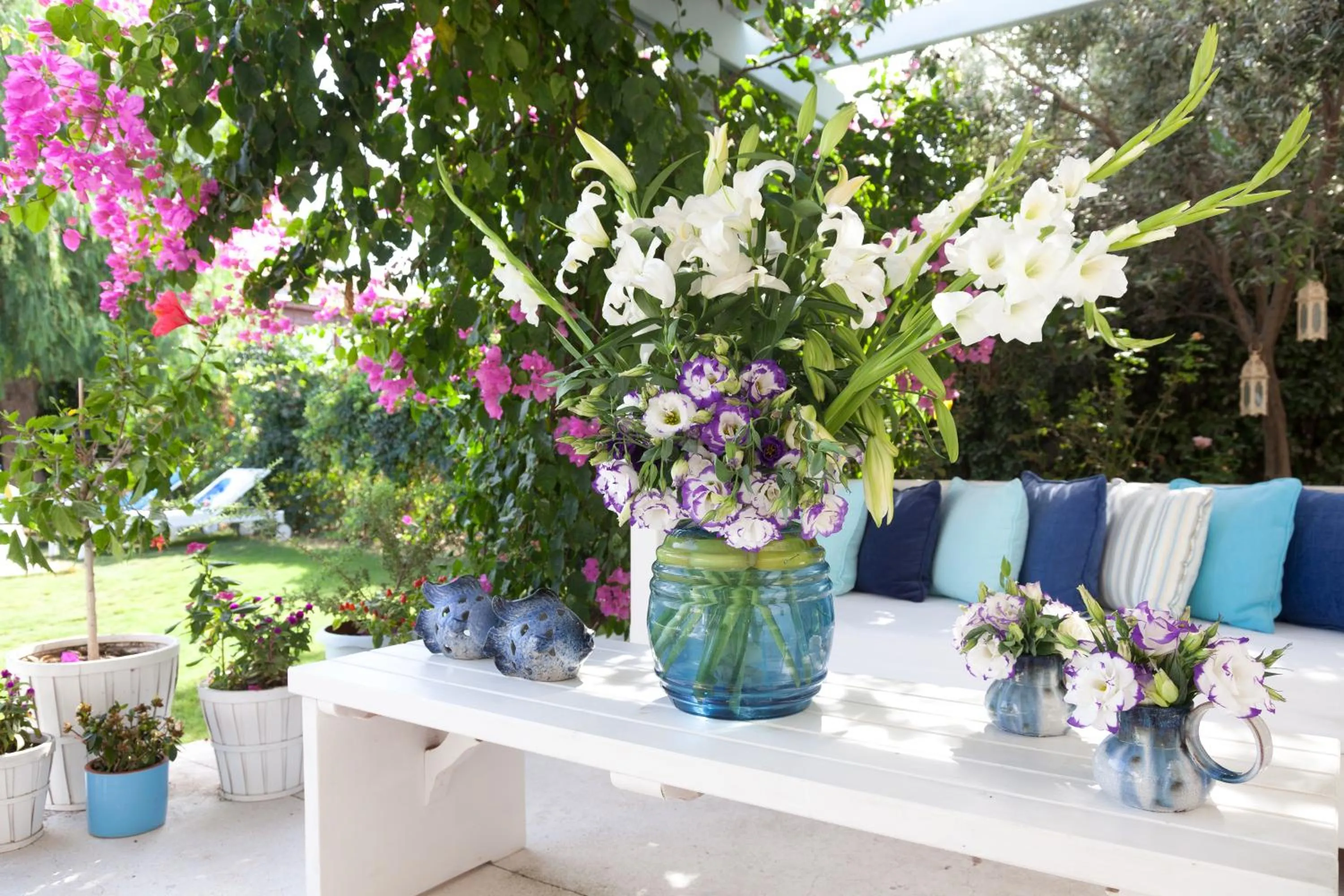 Garden in Alura Hotel