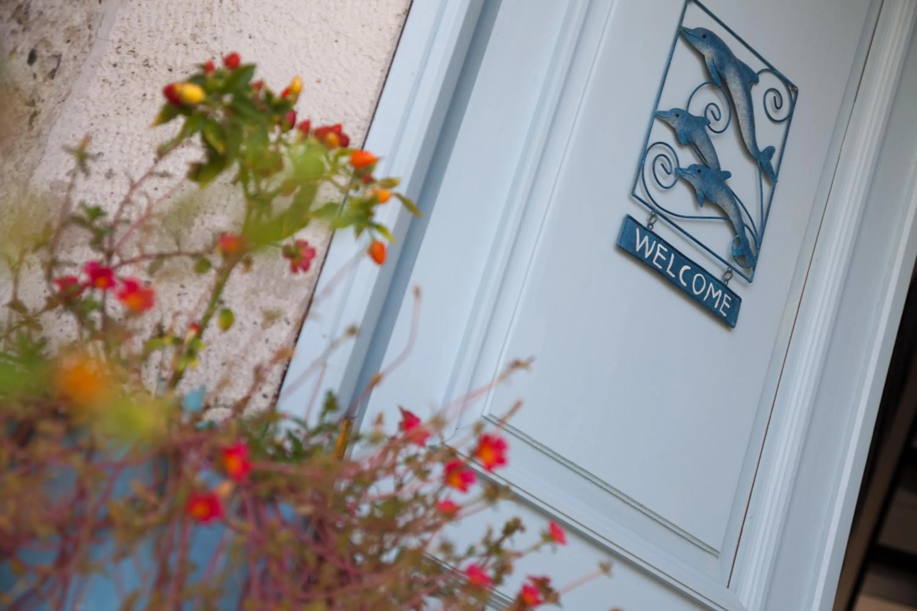 Decorative detail in Alura Hotel