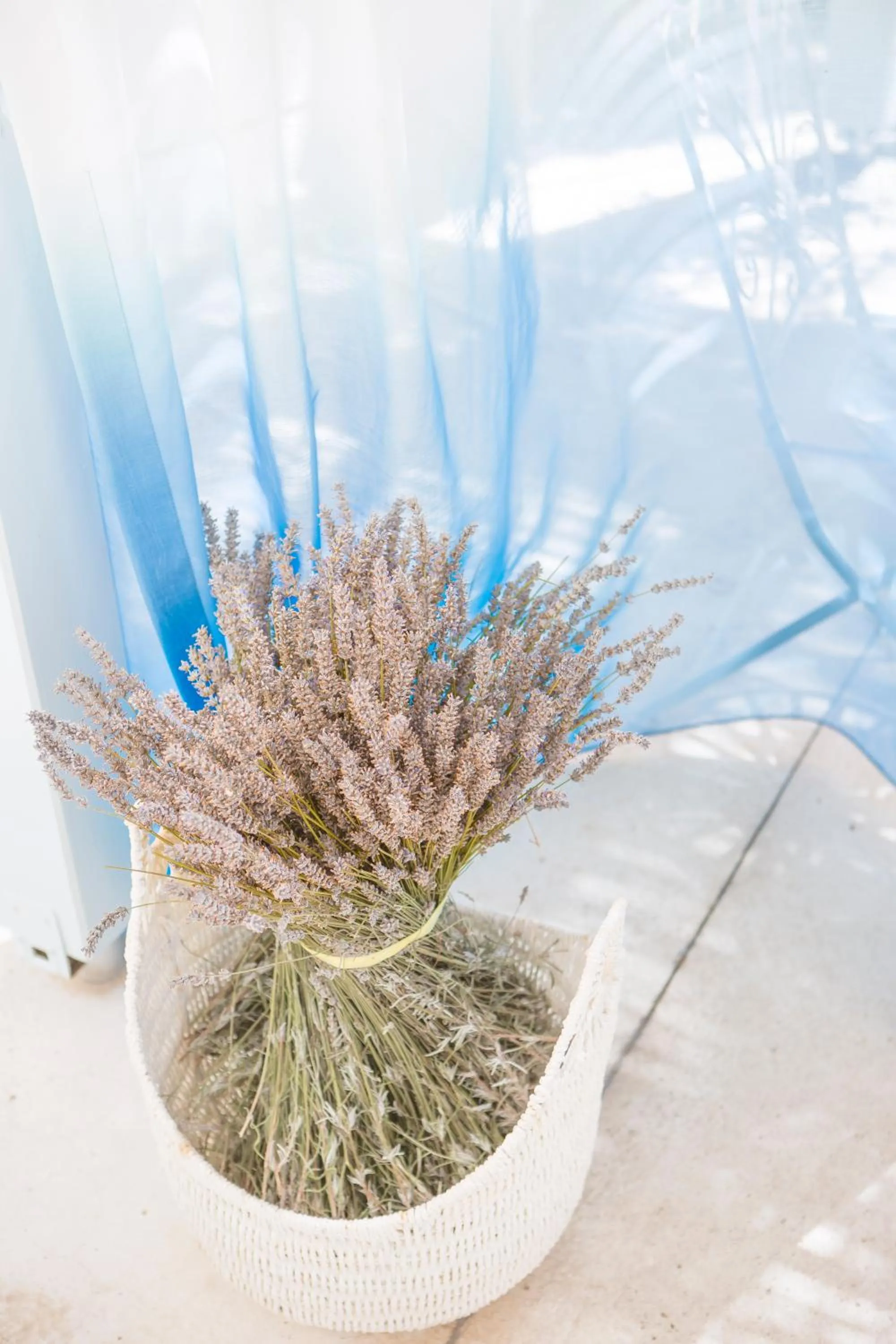 Decorative detail in Alura Hotel