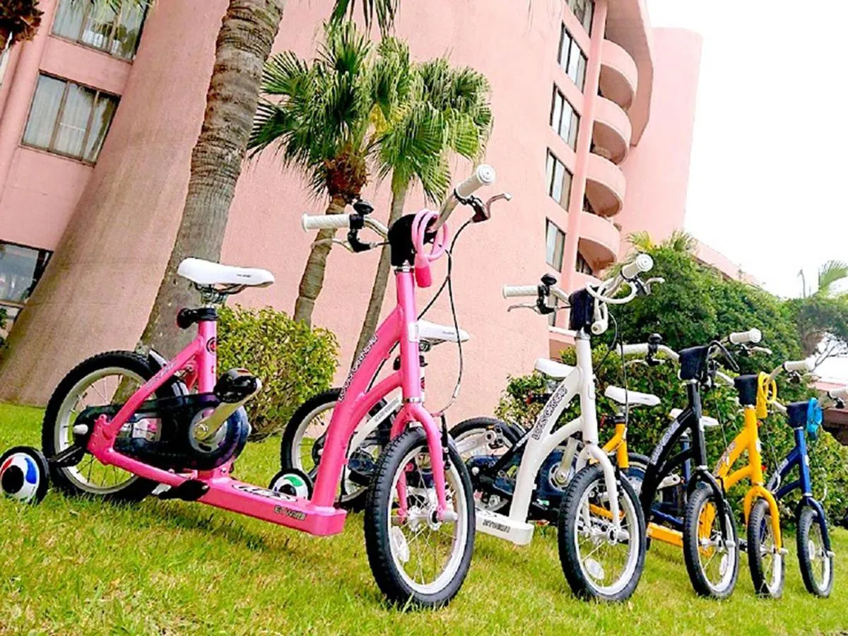 Cycling in Ibusuki Iwasaki Hotel