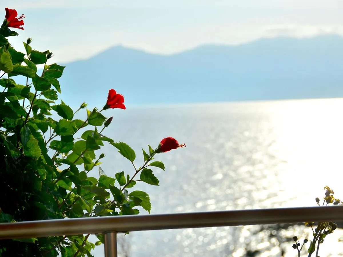 Sea view in Ibusuki Iwasaki Hotel