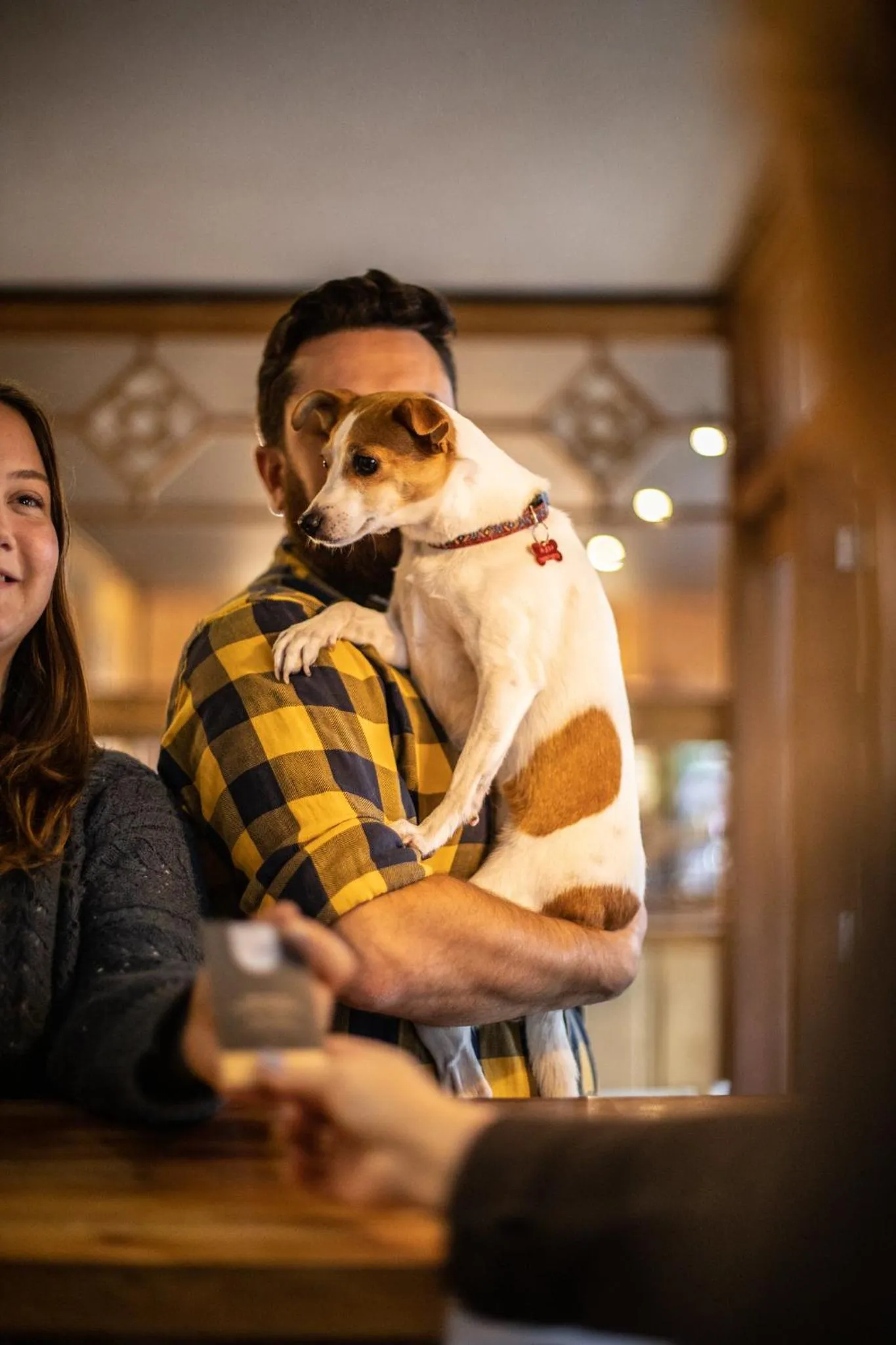 Pets in Hotel Bellavista