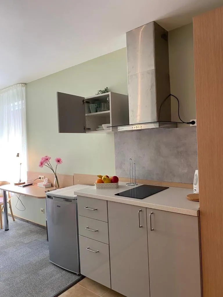 Kitchen or kitchenette in Dzintars Hotel