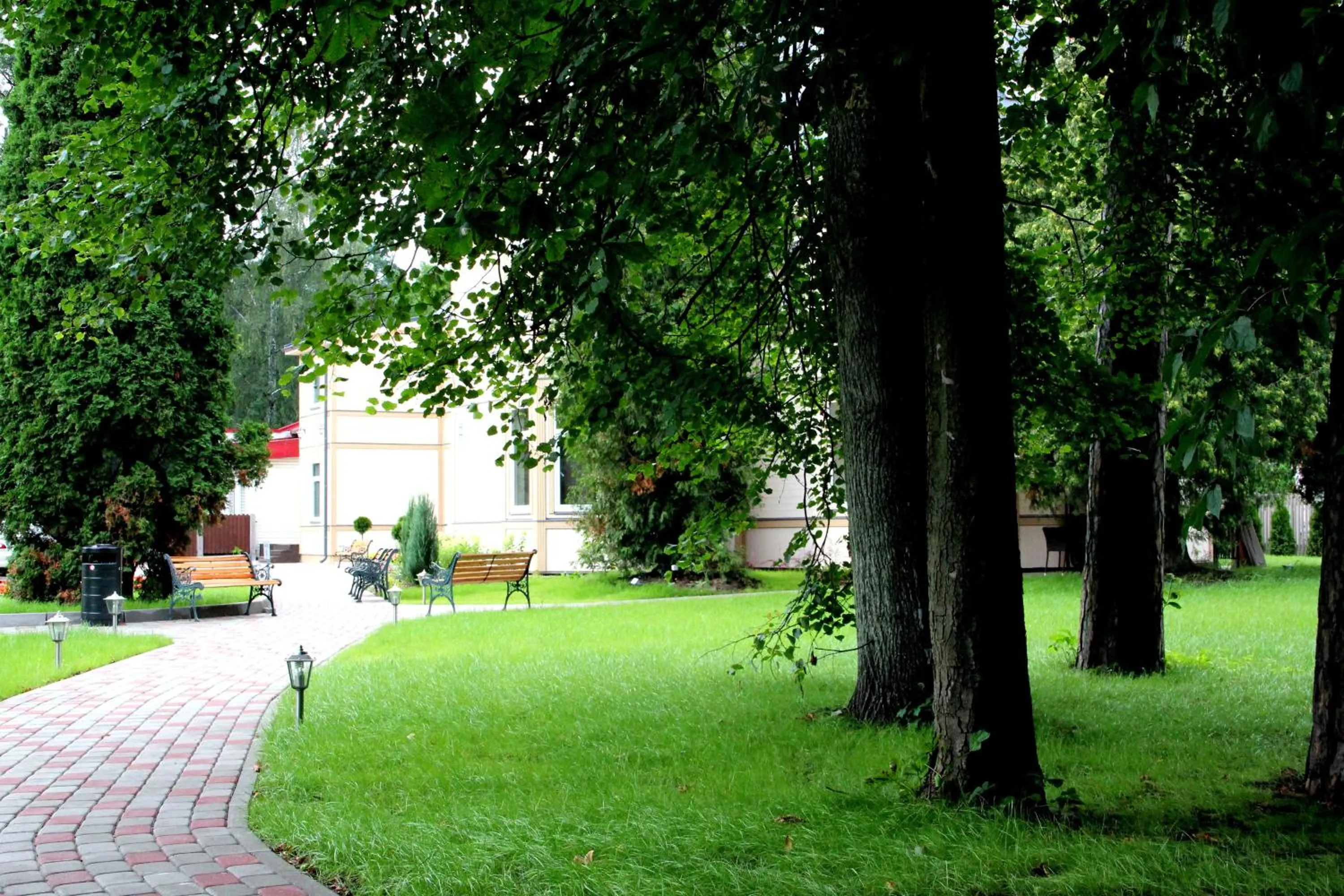 Garden in Dzintars Hotel
