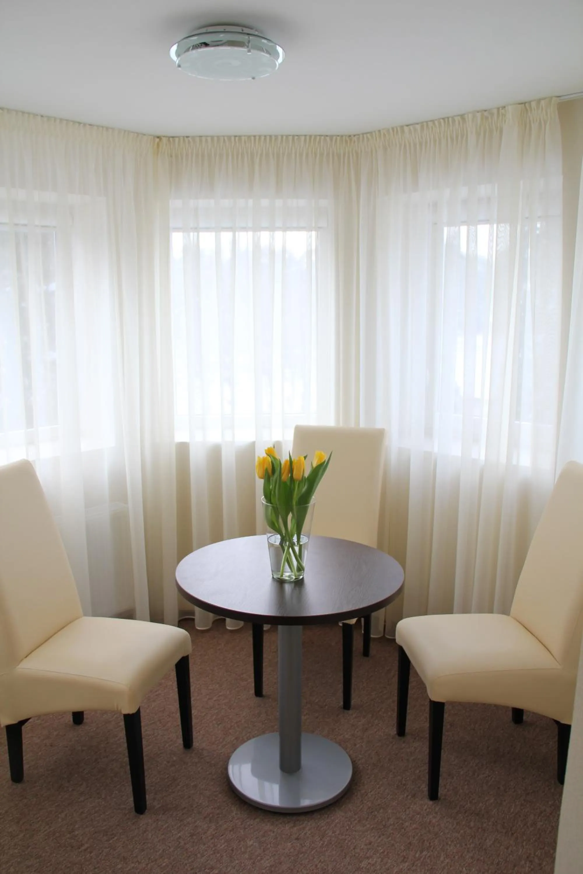 Seating area in Dzintars Hotel